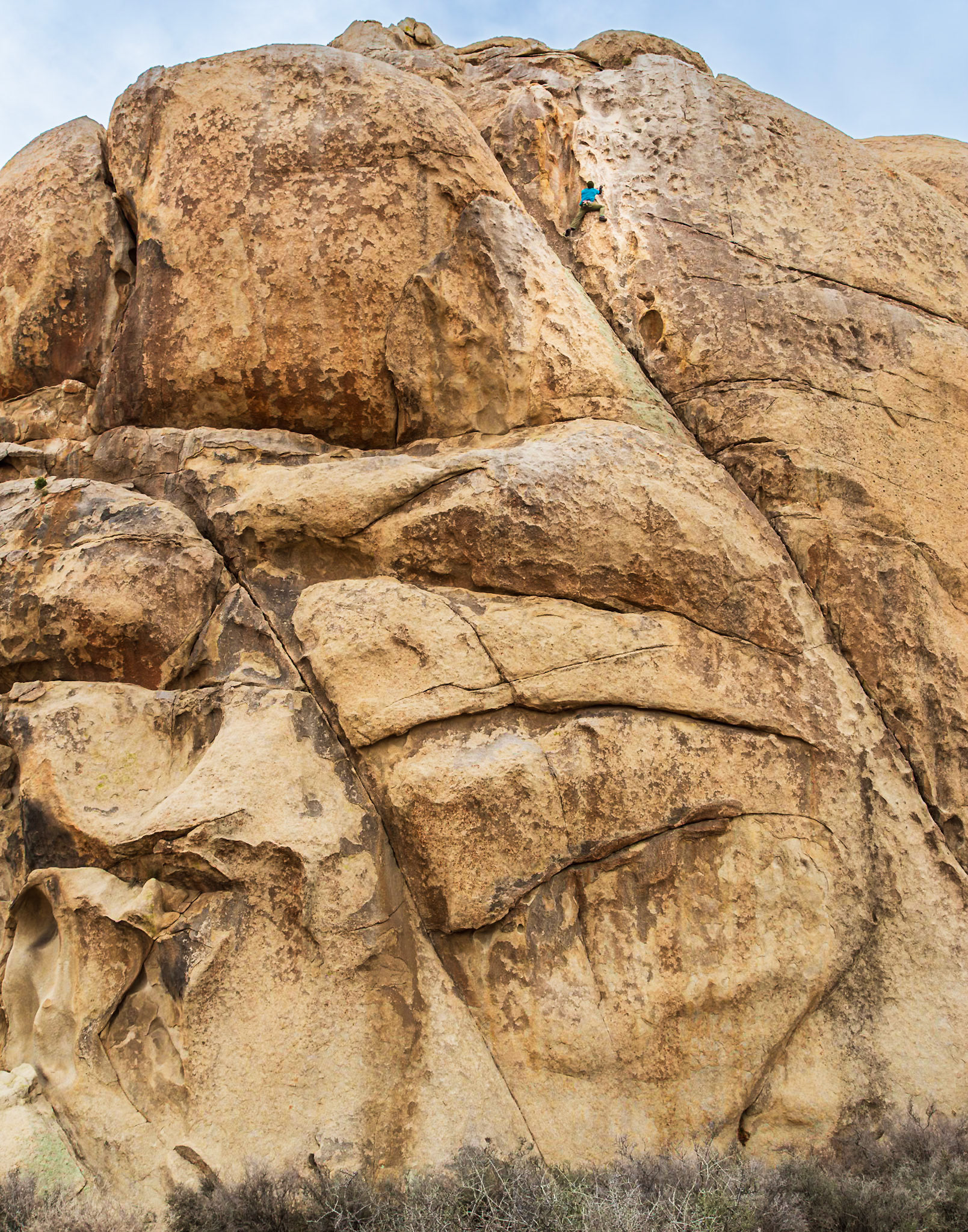 Joshua Tree National Park 