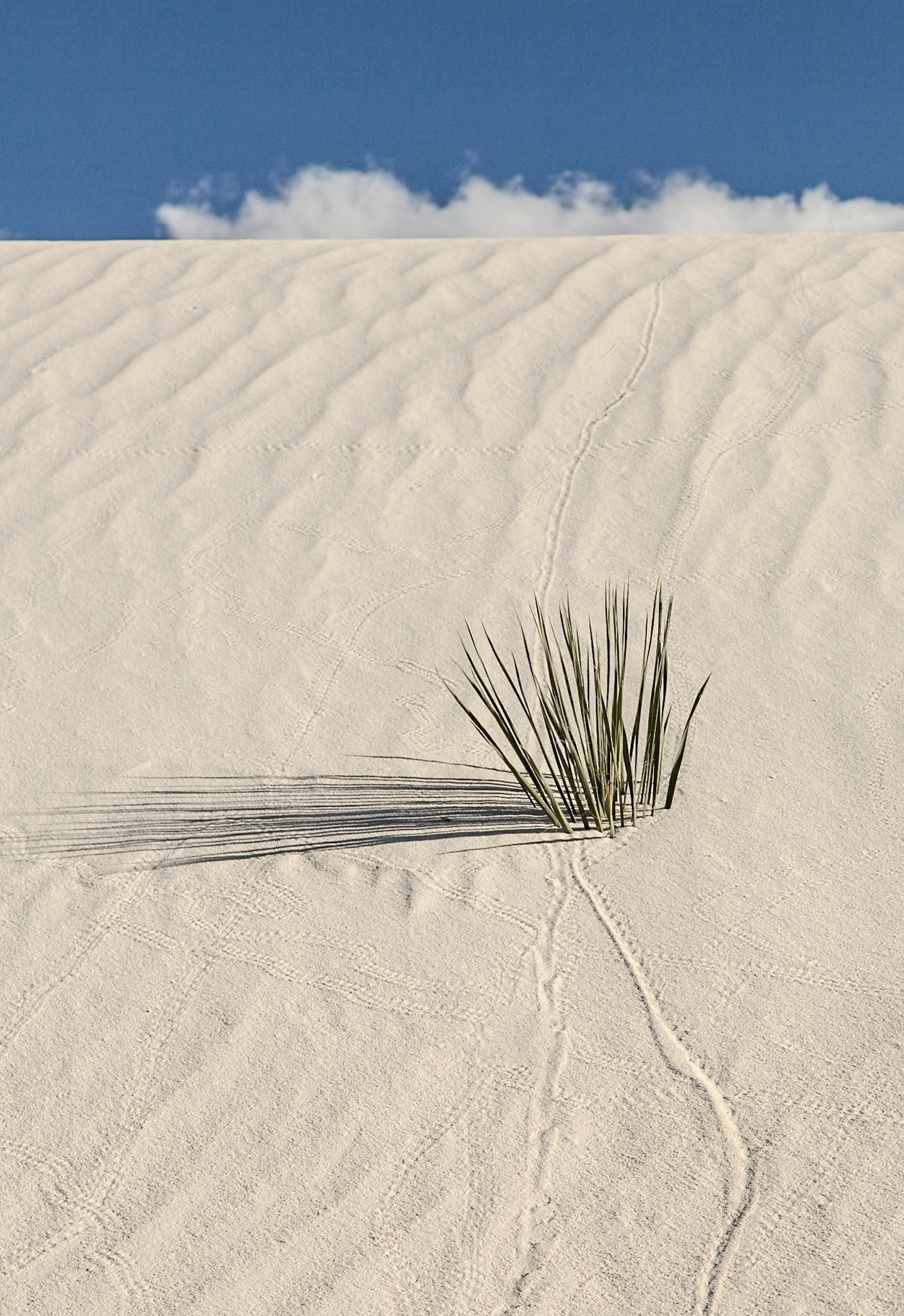 White Sands National Park