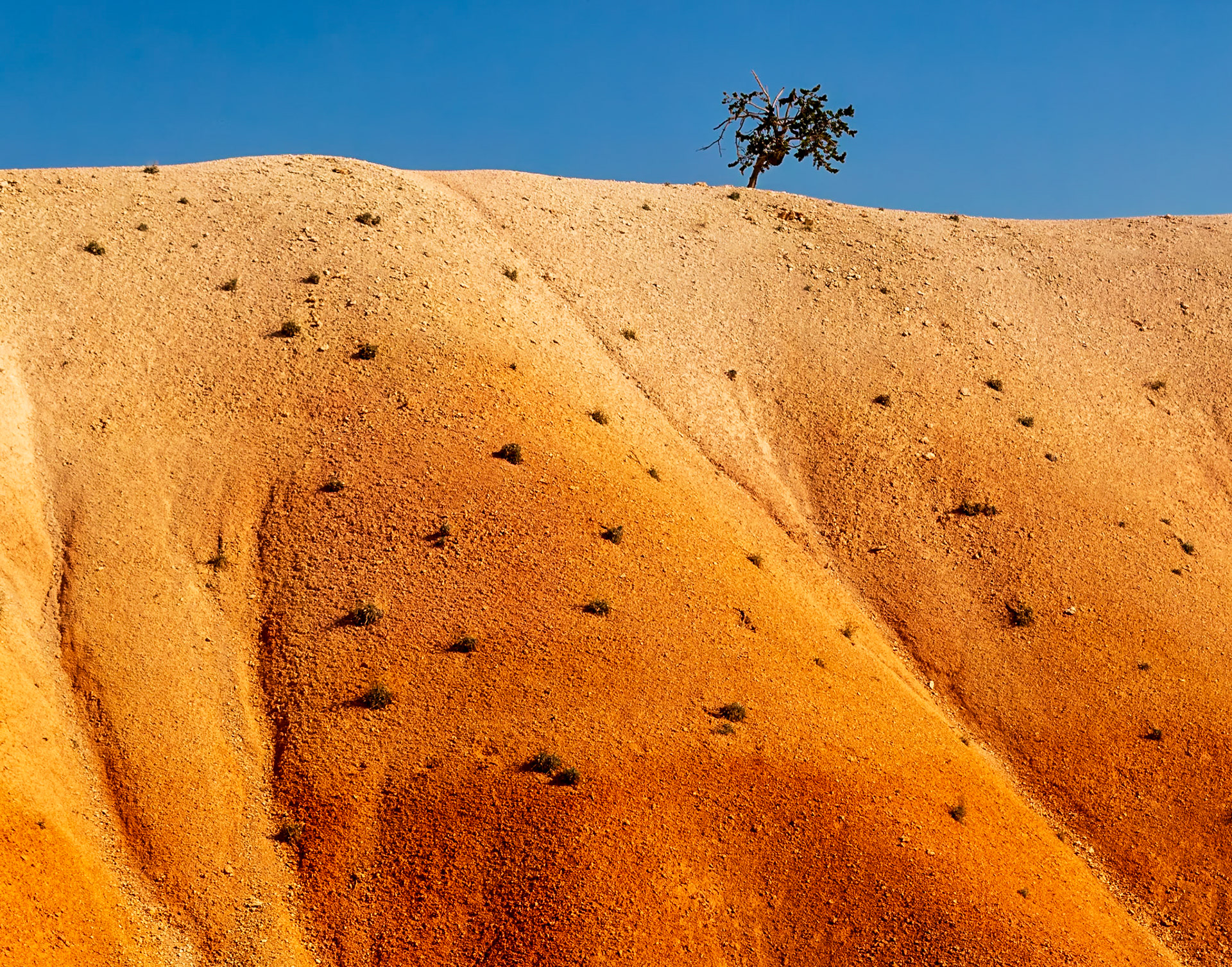 Bryce Canyon National Park