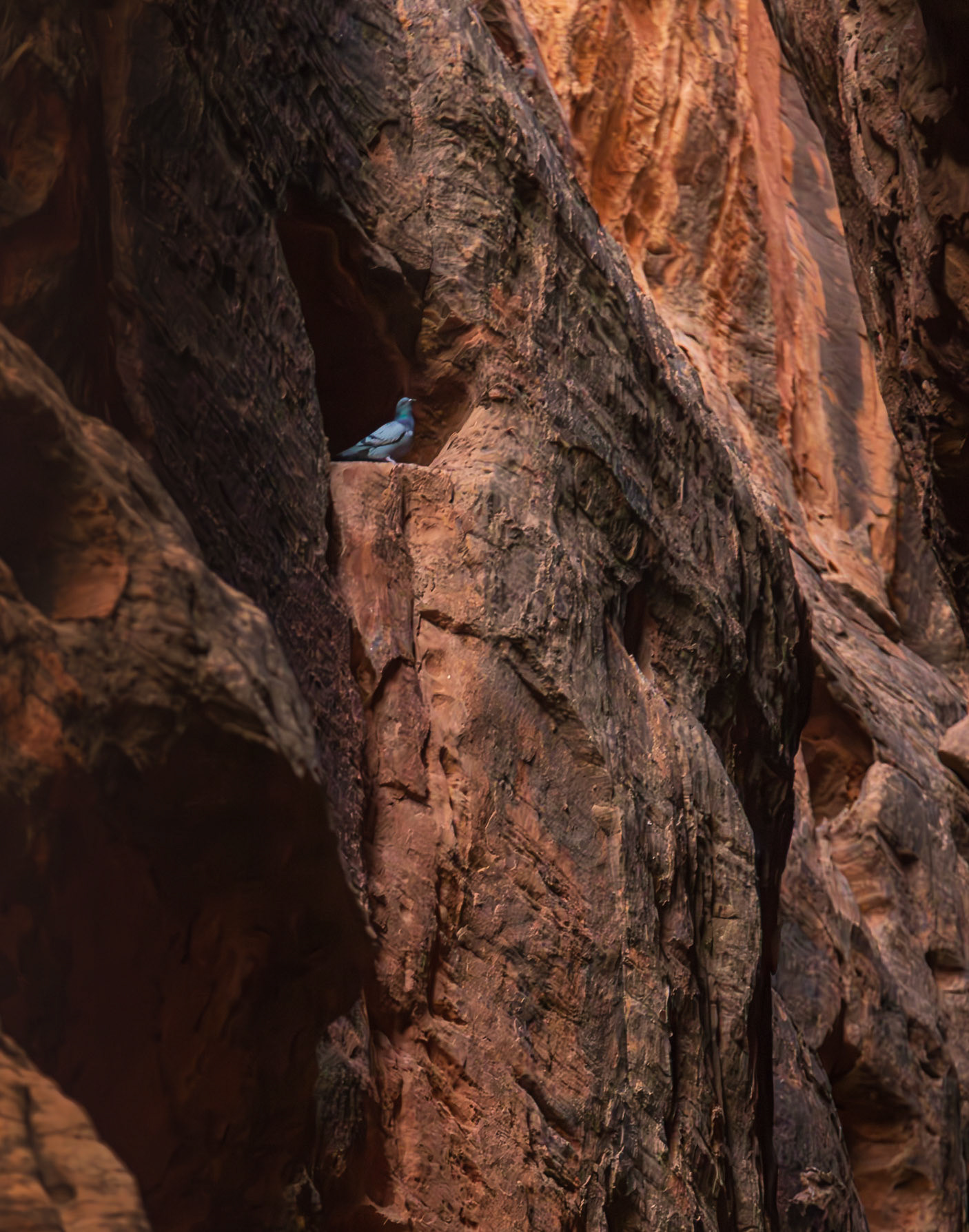 Snow Canyon State Park