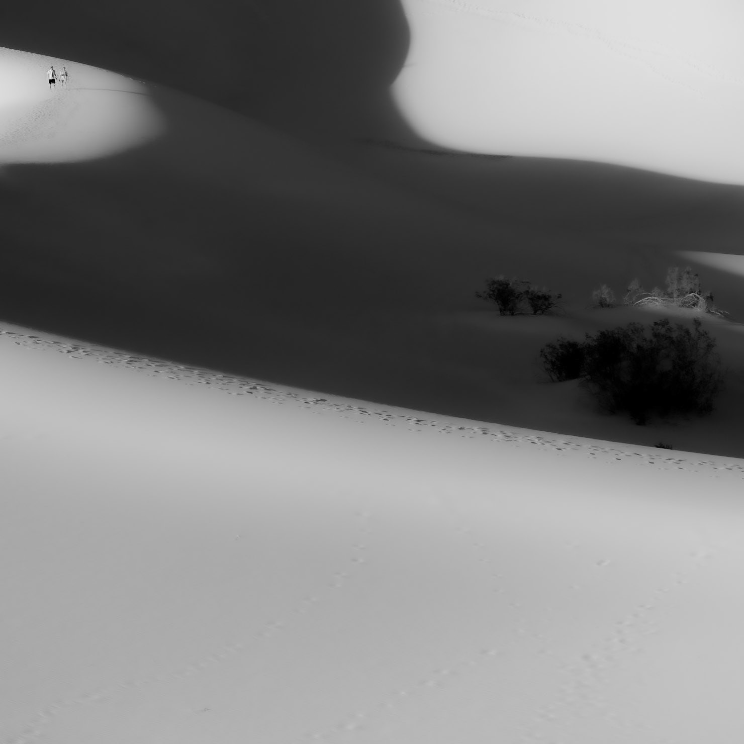 Death Valley National Park 