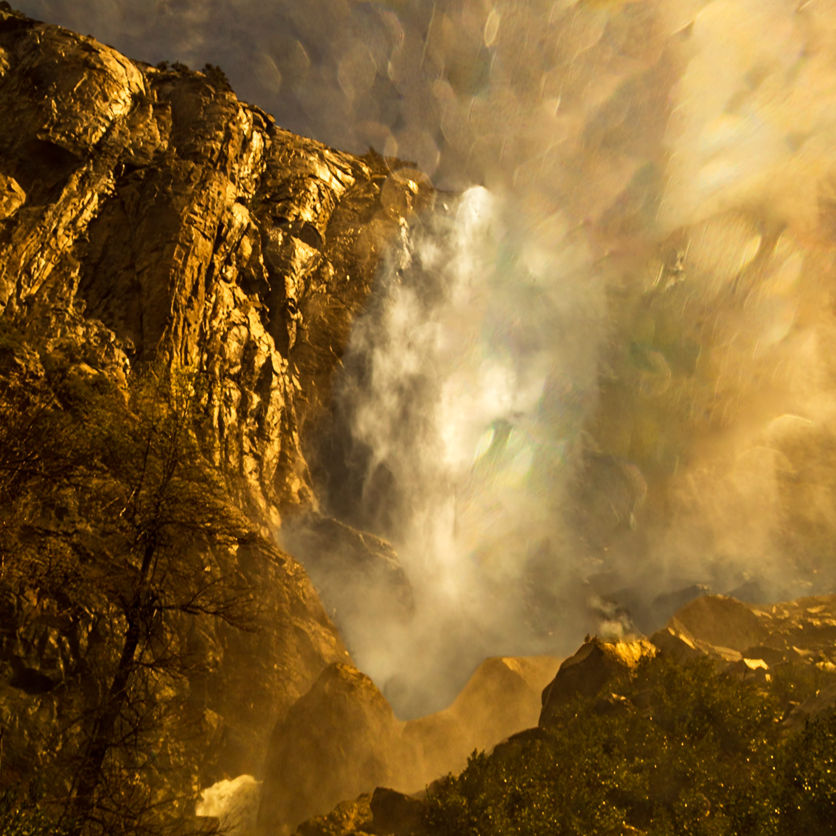 Yosemite National Park 