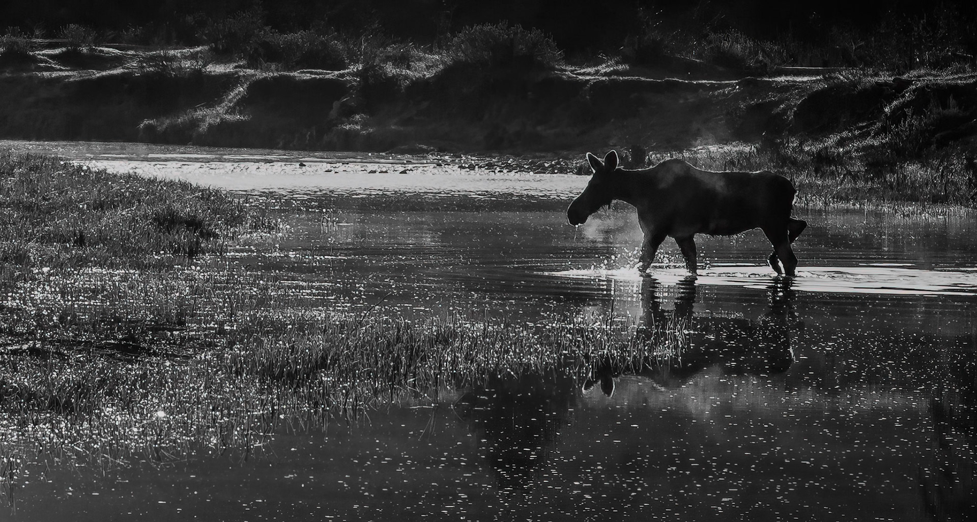 Grand Teton National Park