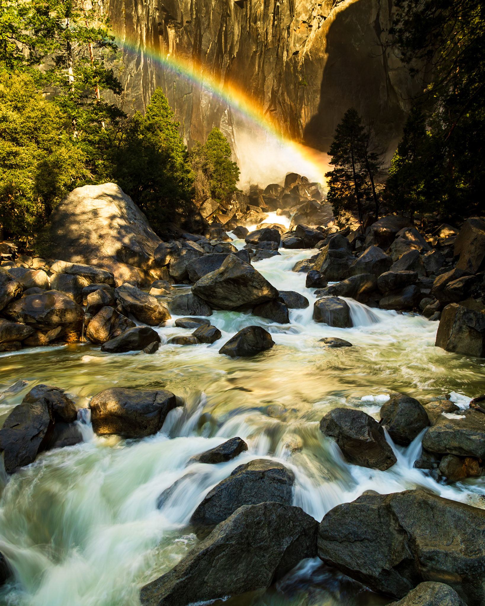 Yosemite National Park 