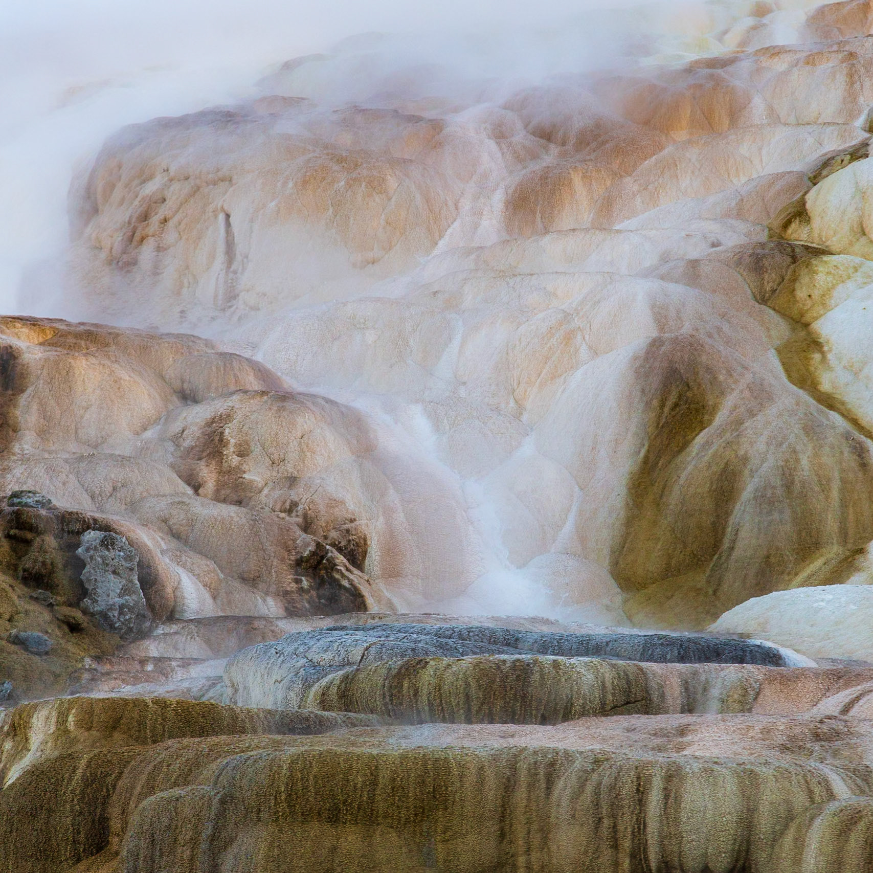 Yellowstone National Park