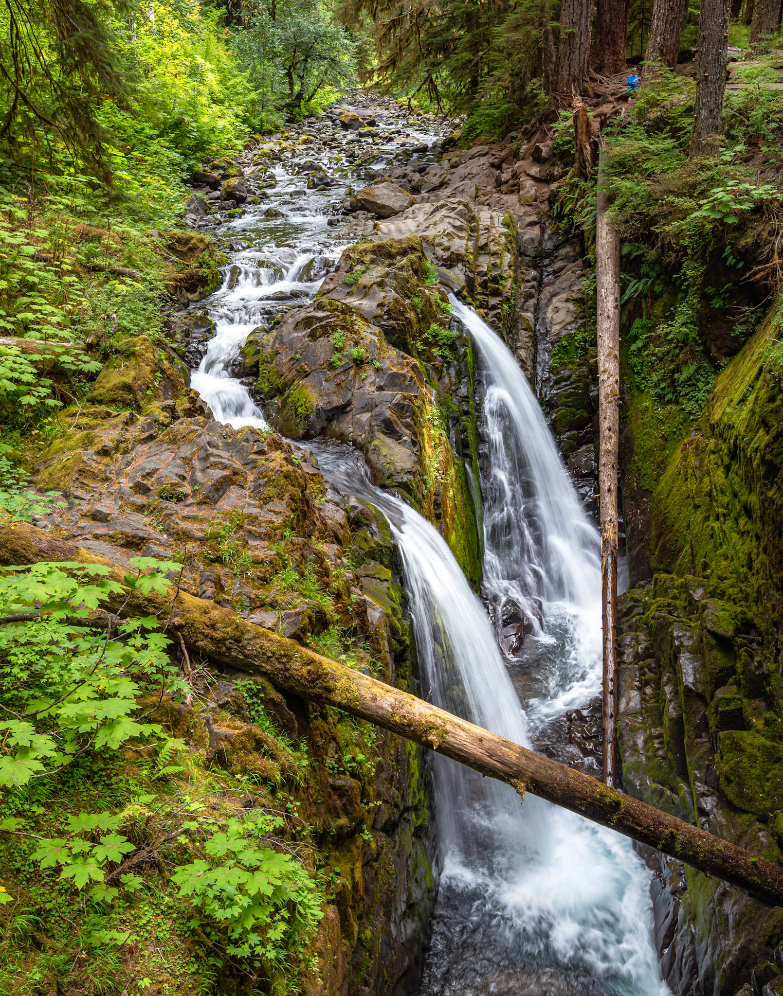 Olympic National Park