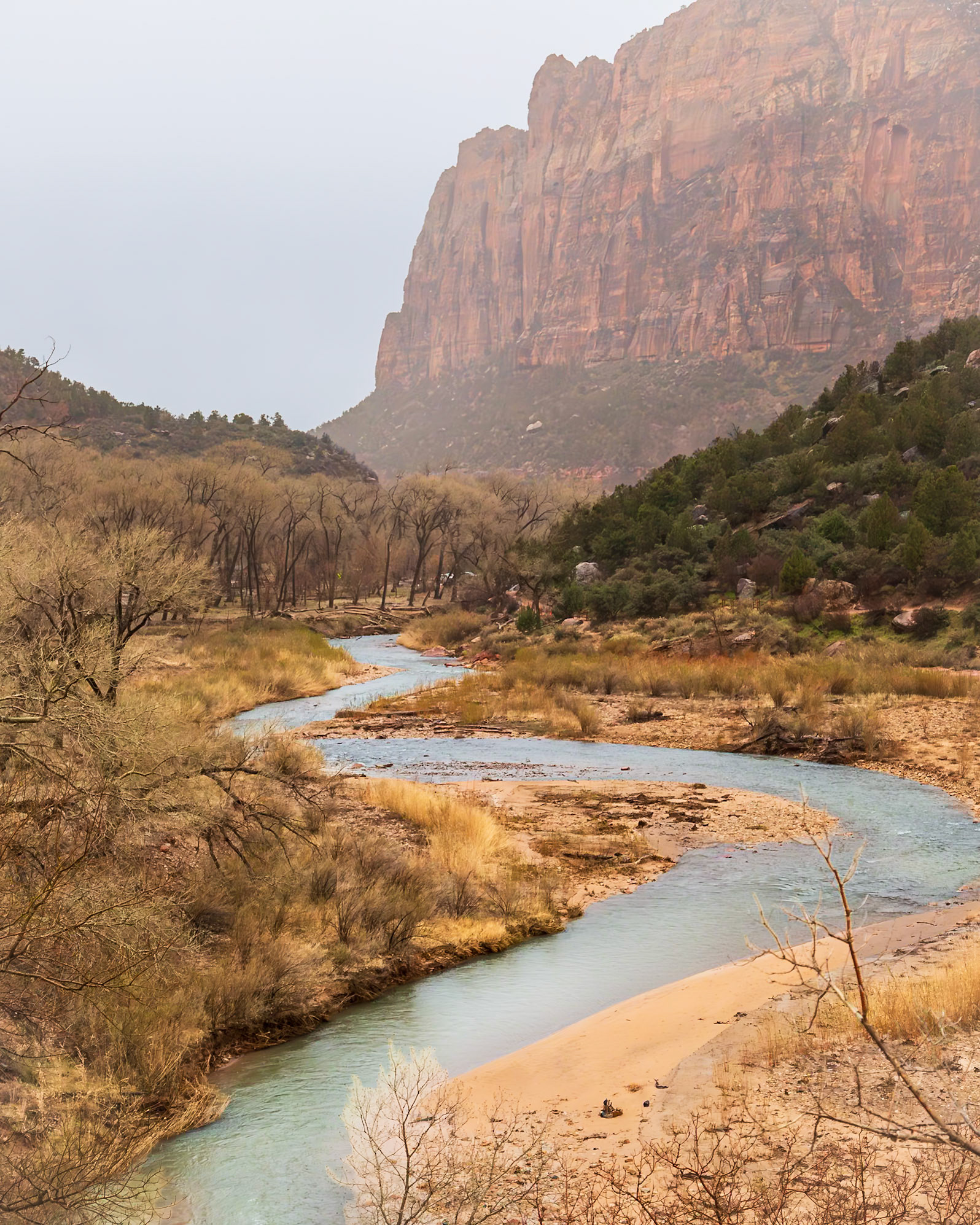 Zion National Park