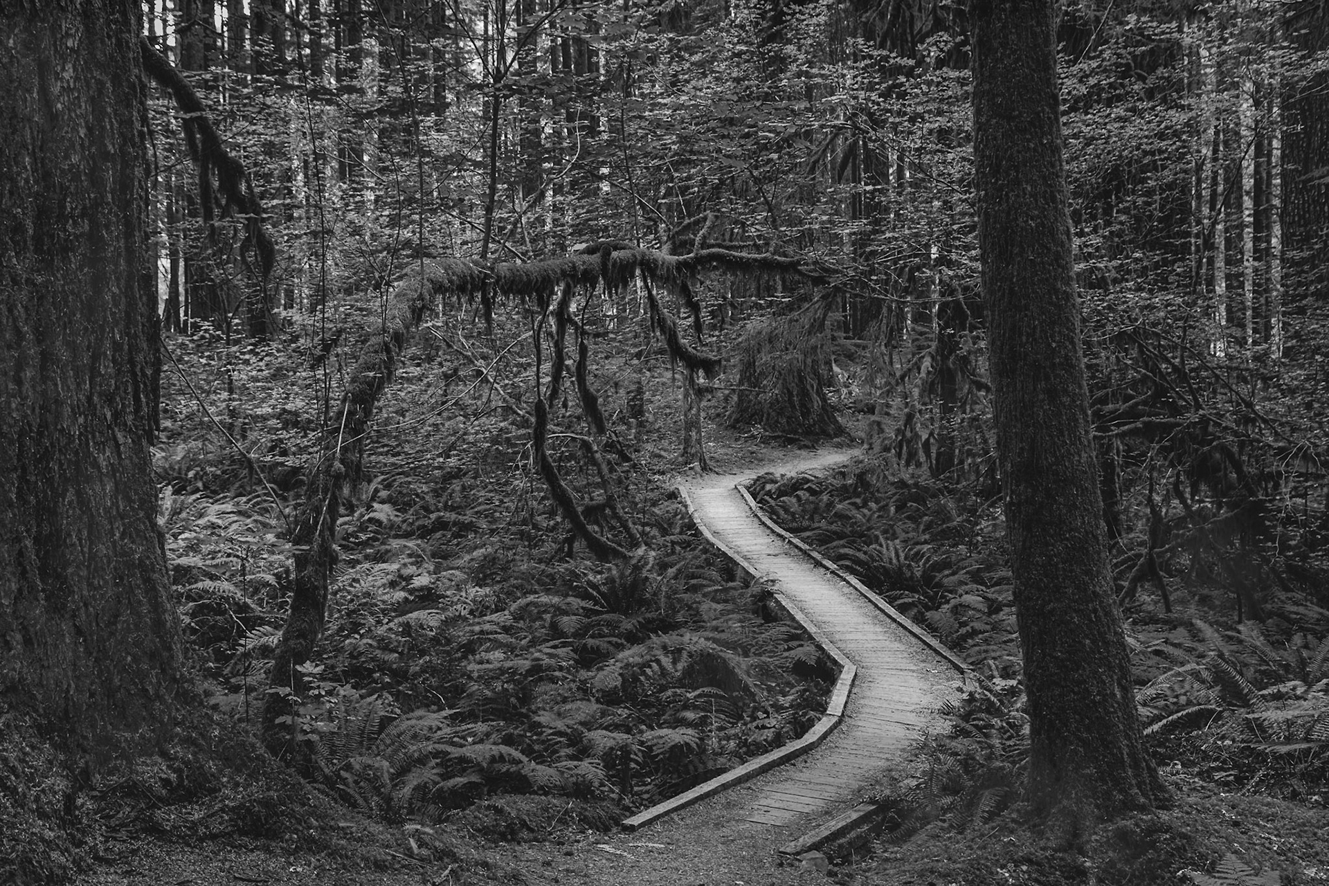 Olympic National Park