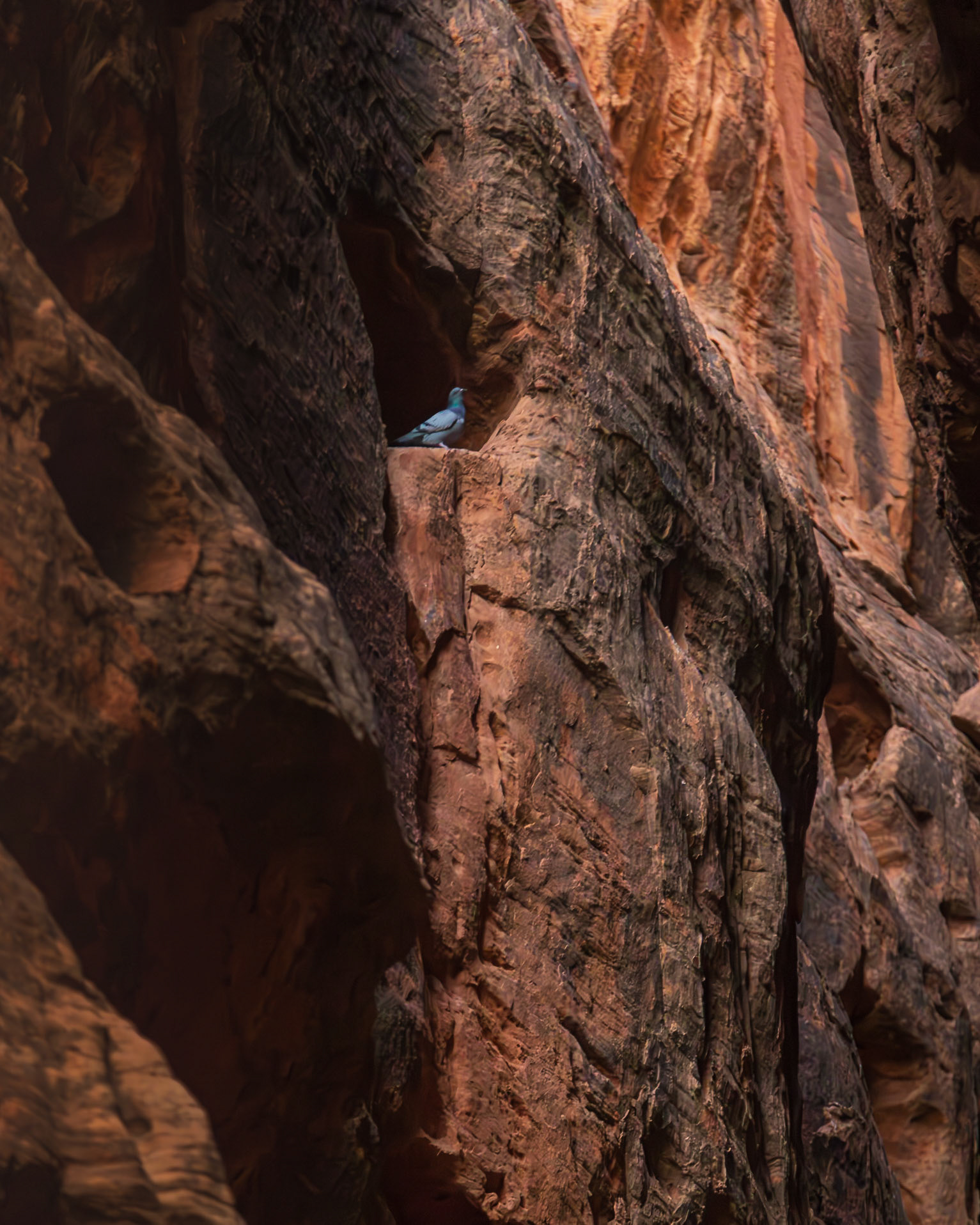 Snow Canyon State Park 