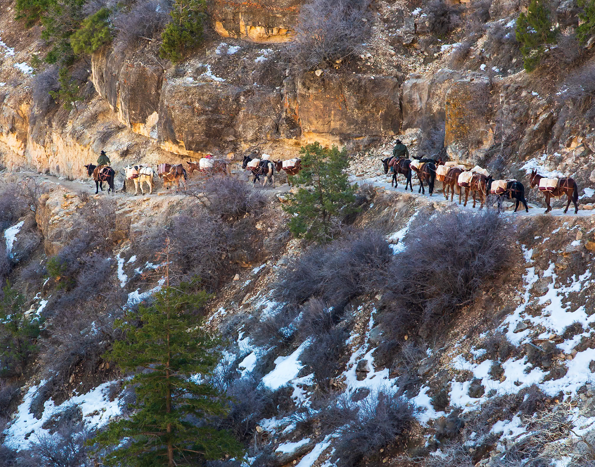 Grand Canyon National Park