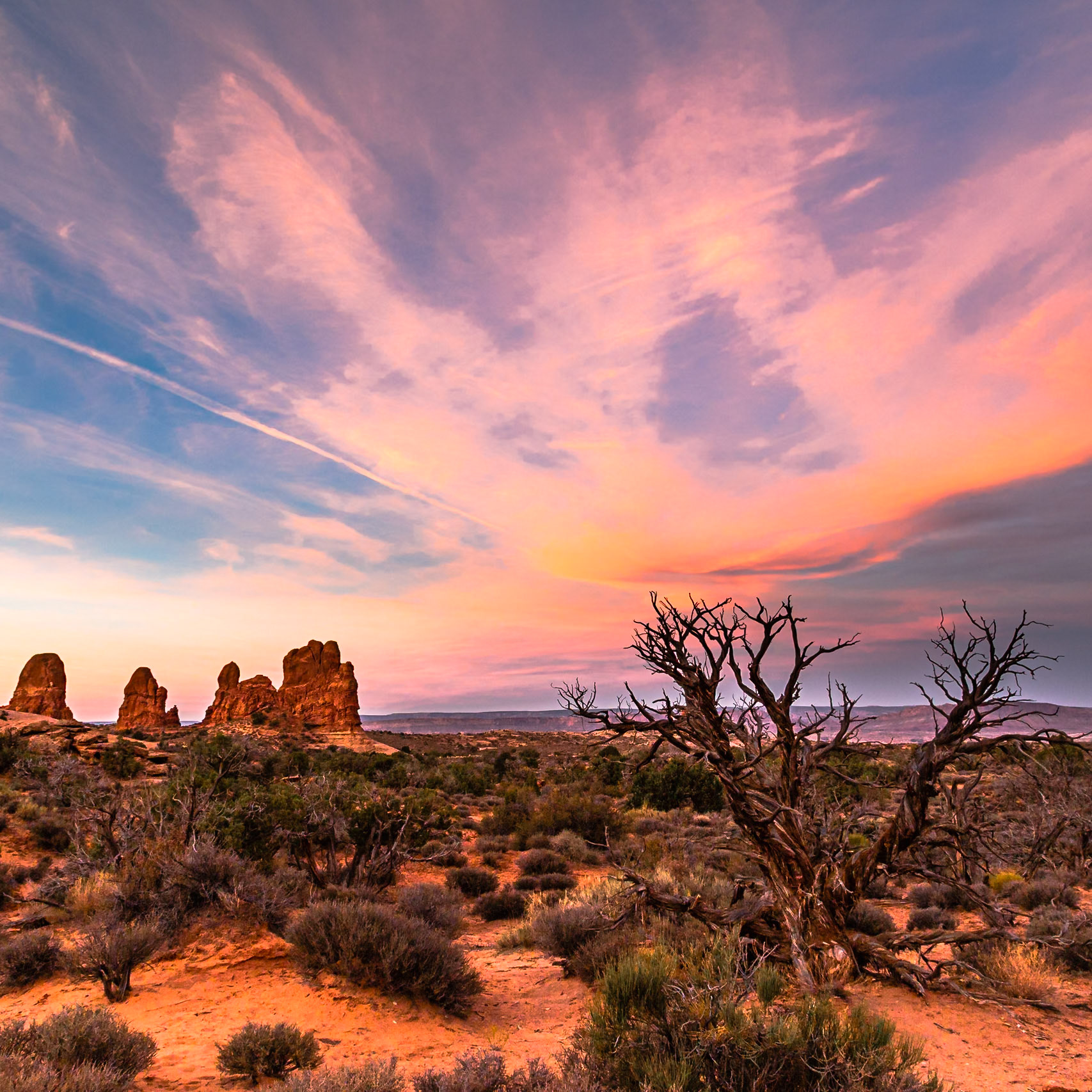 Arches National Park 