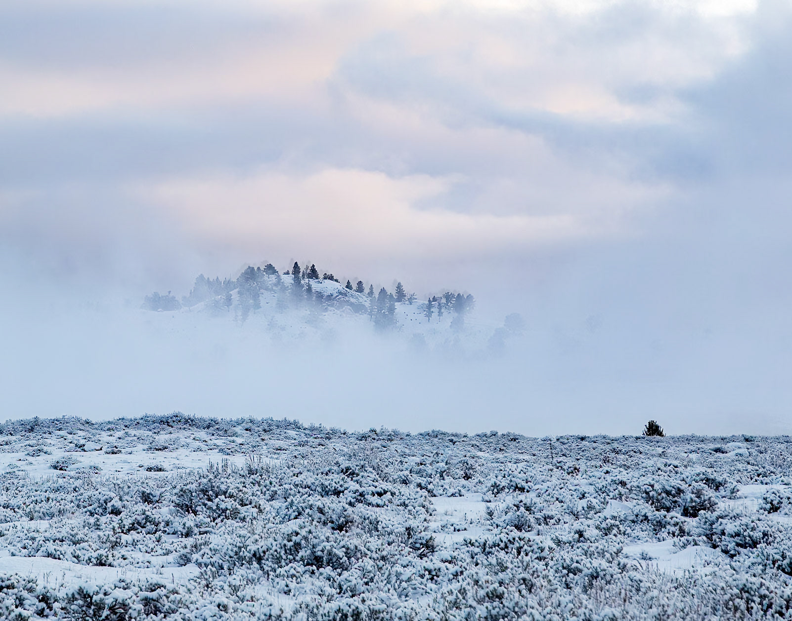 Yellowstone National Park