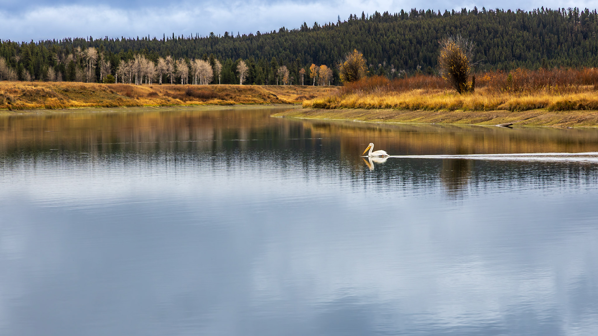 Grand Teton National Park 