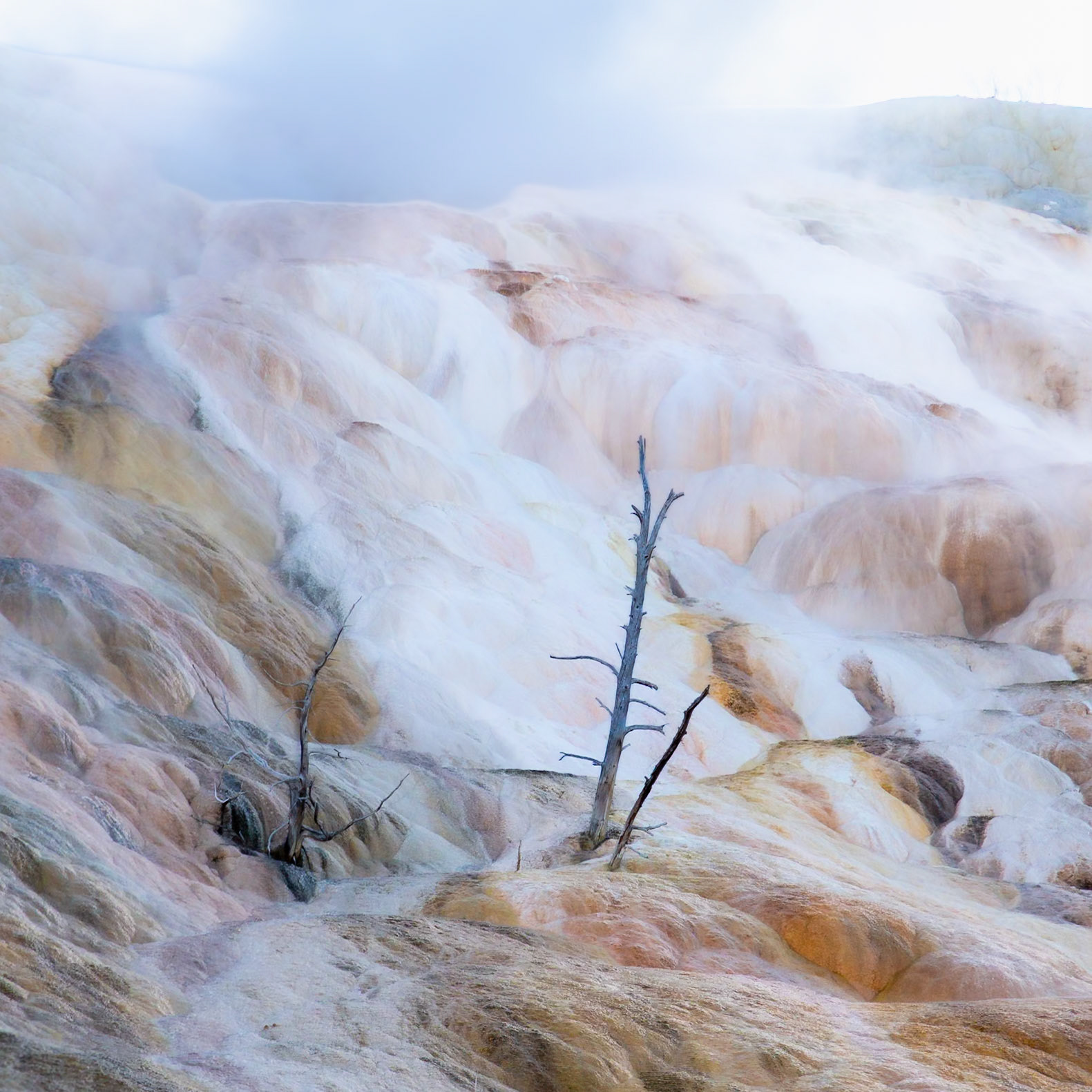 Yellowstone National Park