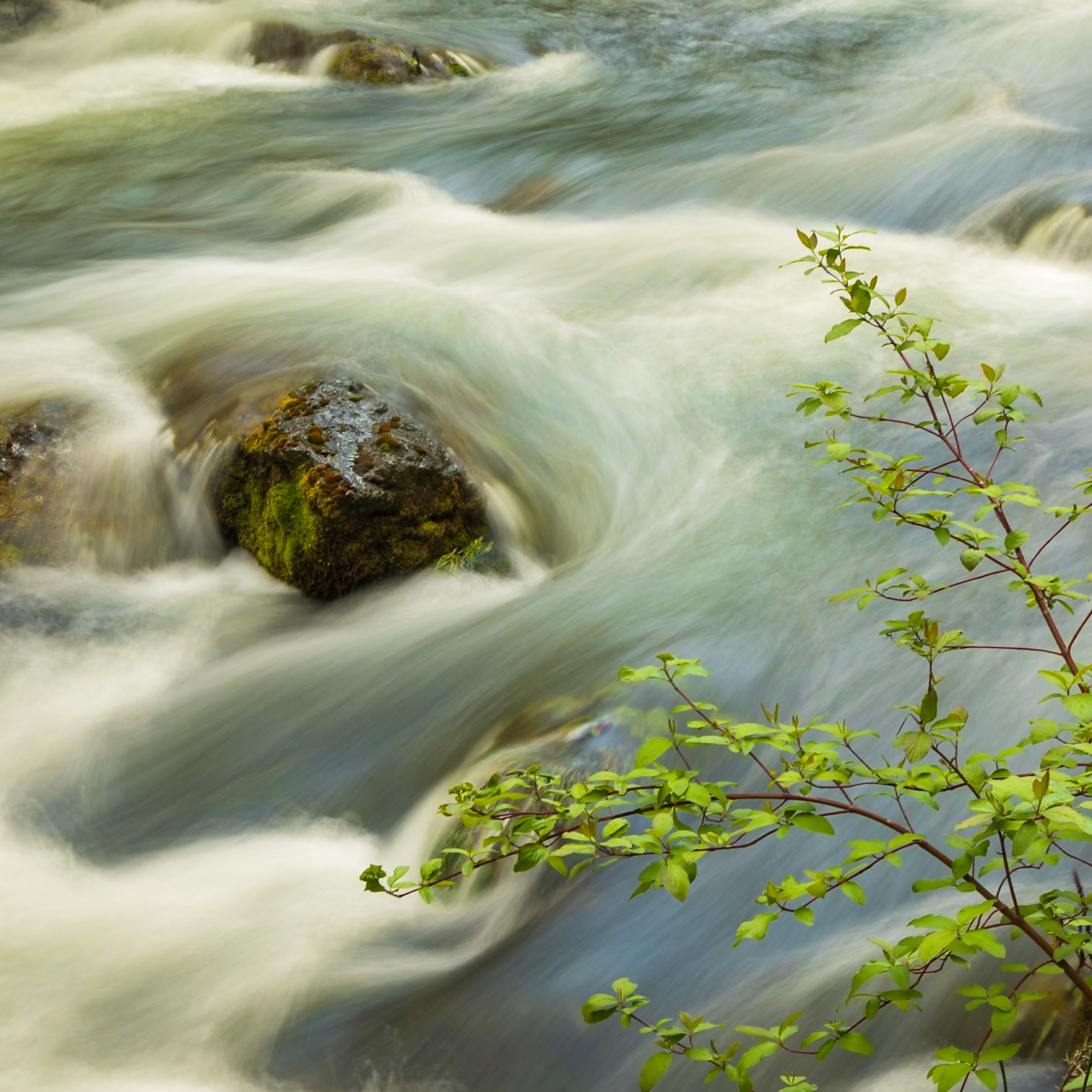Rapid River, near Riggins, Idaho