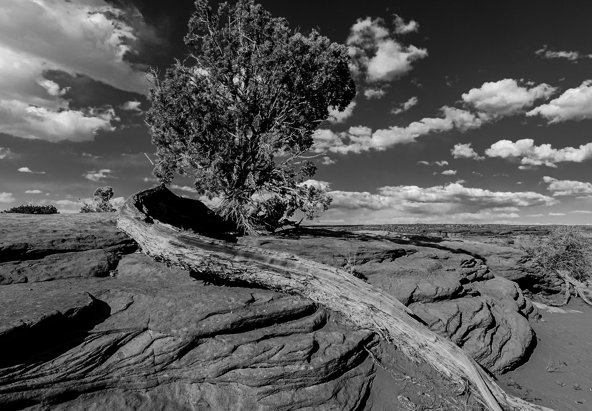 Canyon de Chelly National Monument