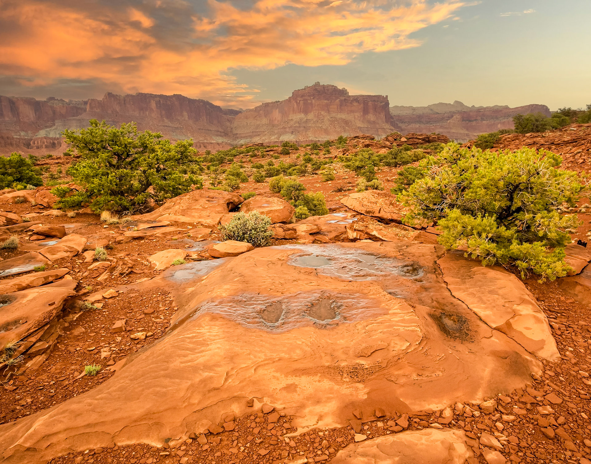 Capitol Reef National Park