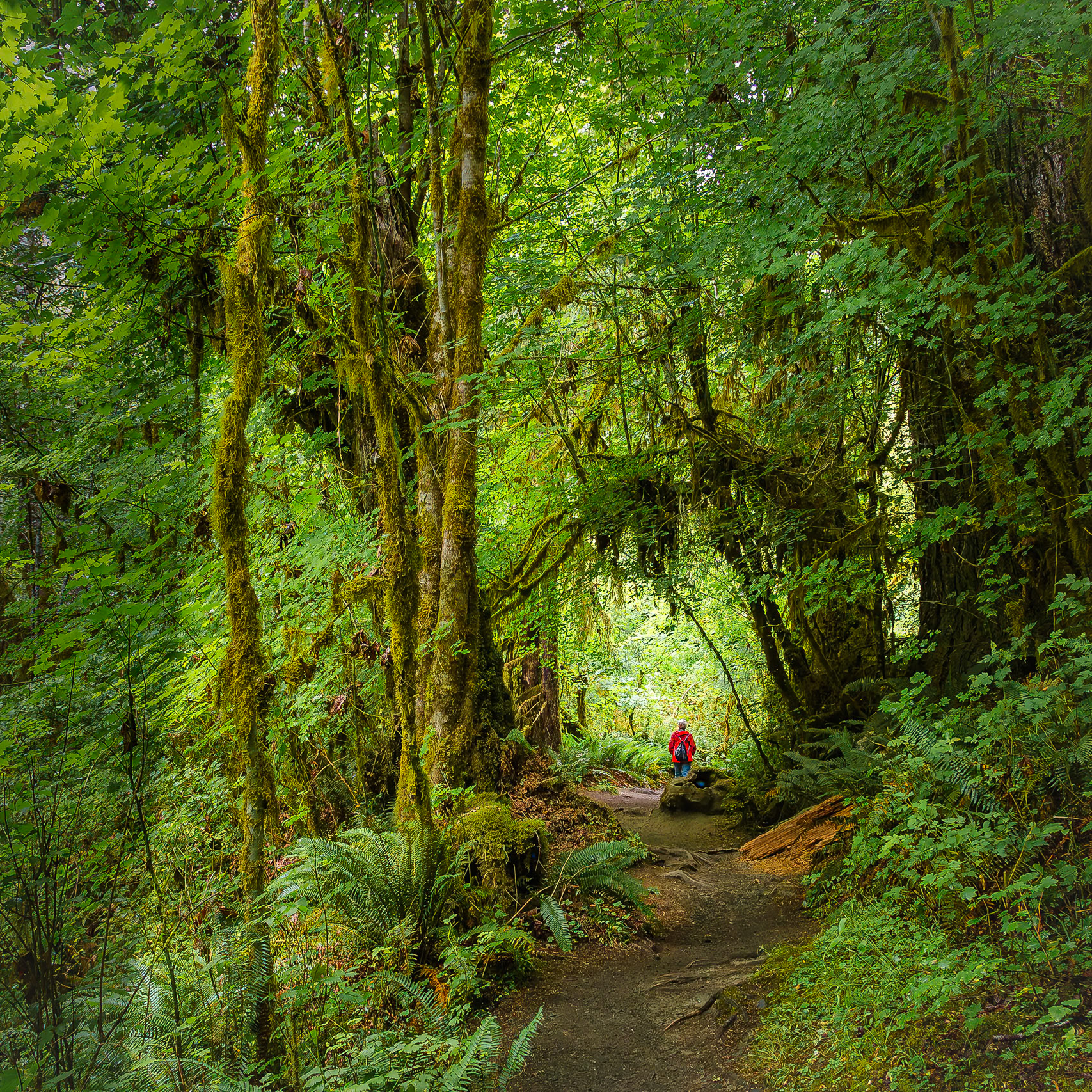 Olympic National Park