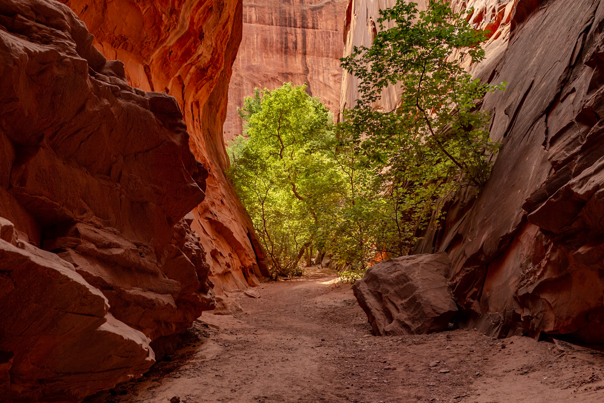 Near Capitol Reef National Park