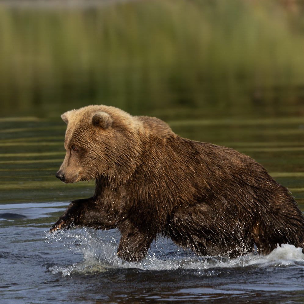 Lake Clark National Park 
