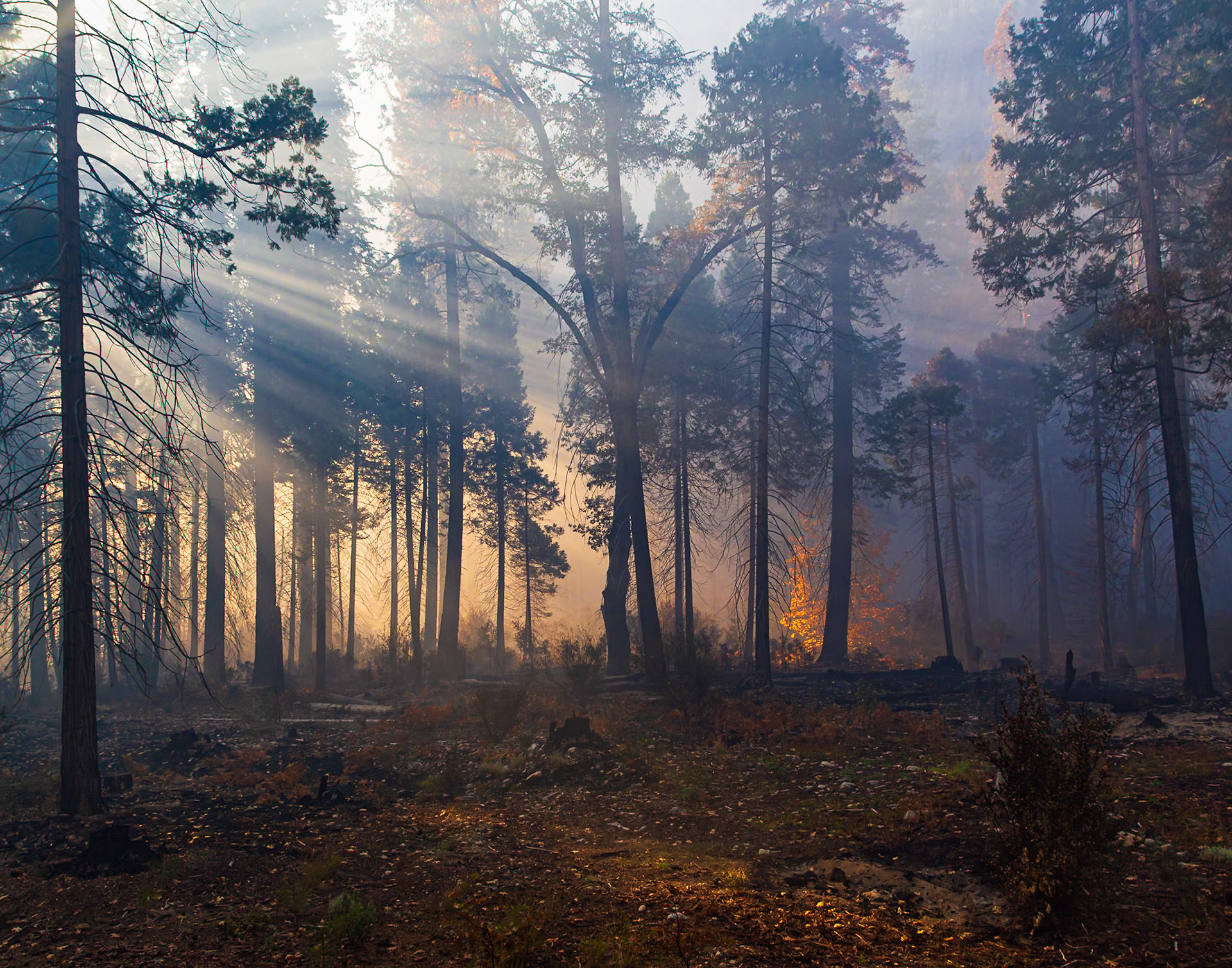 Yosemite National Park