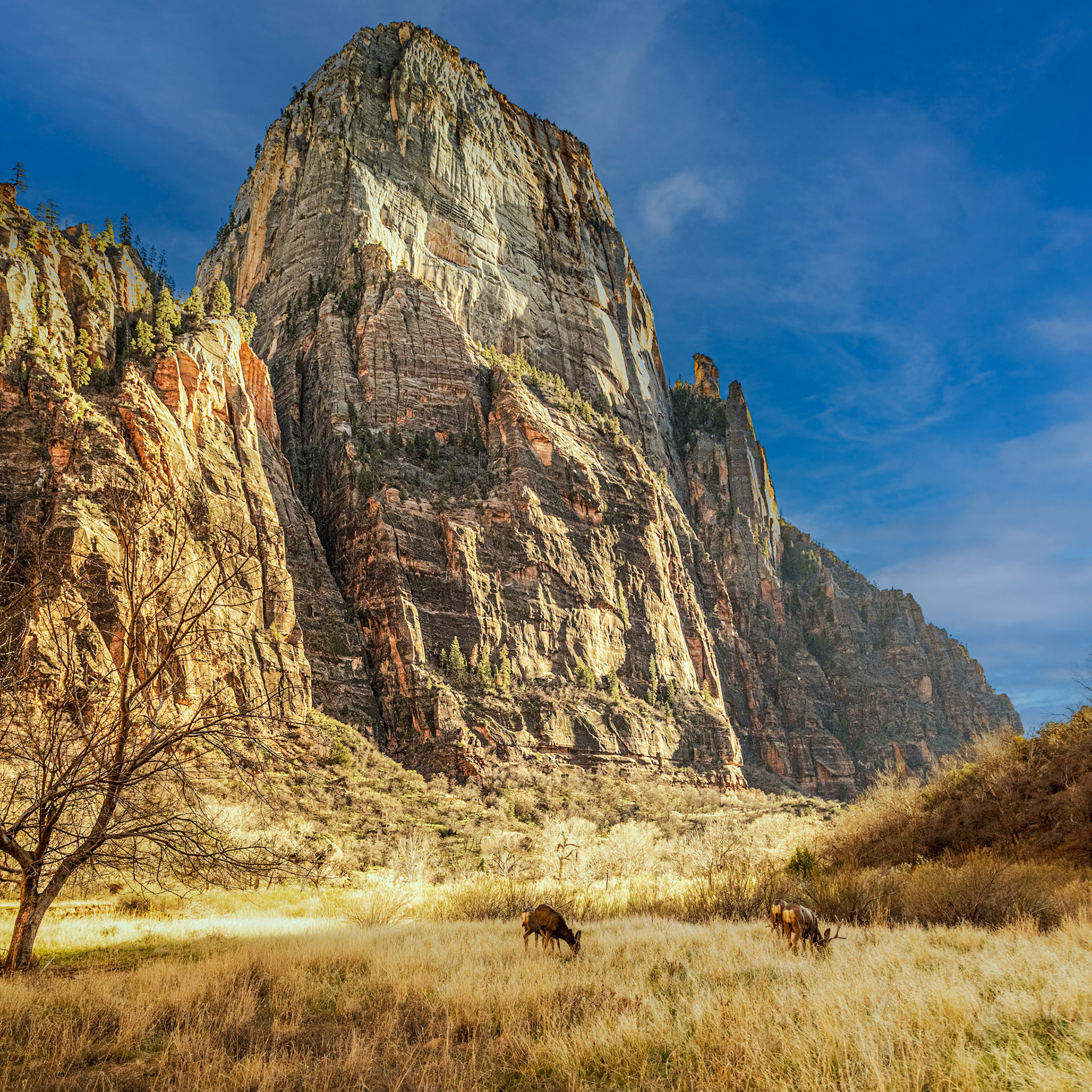Zion National Park