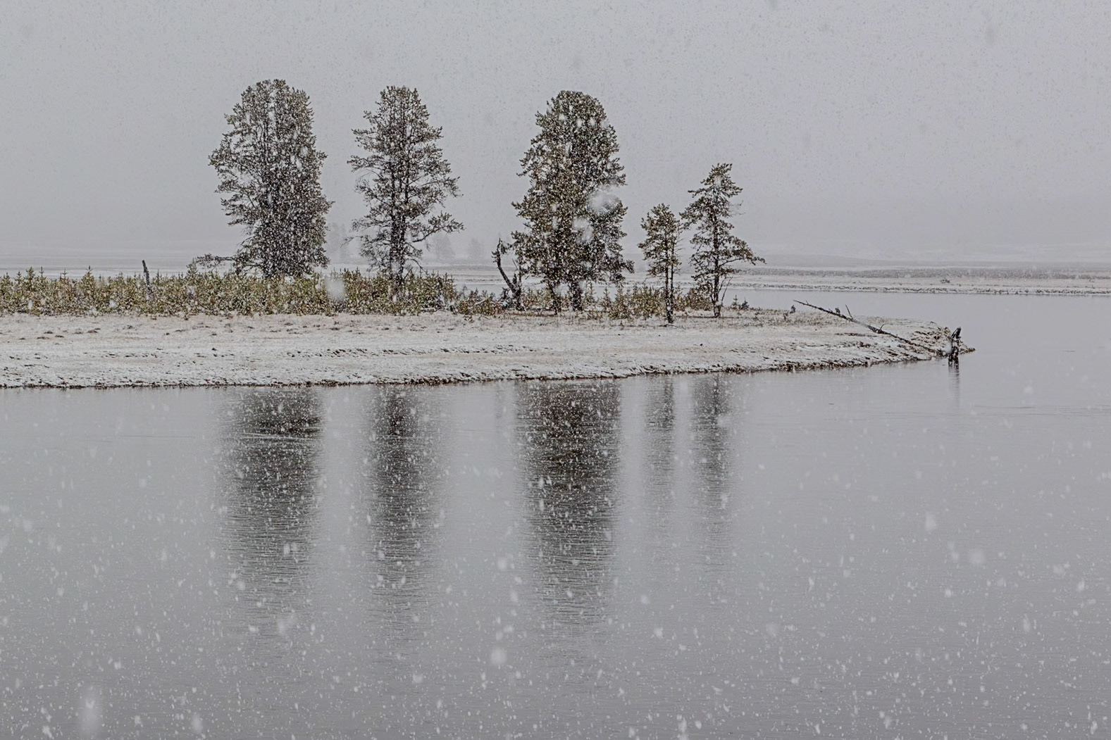 Yellowstone National Park 