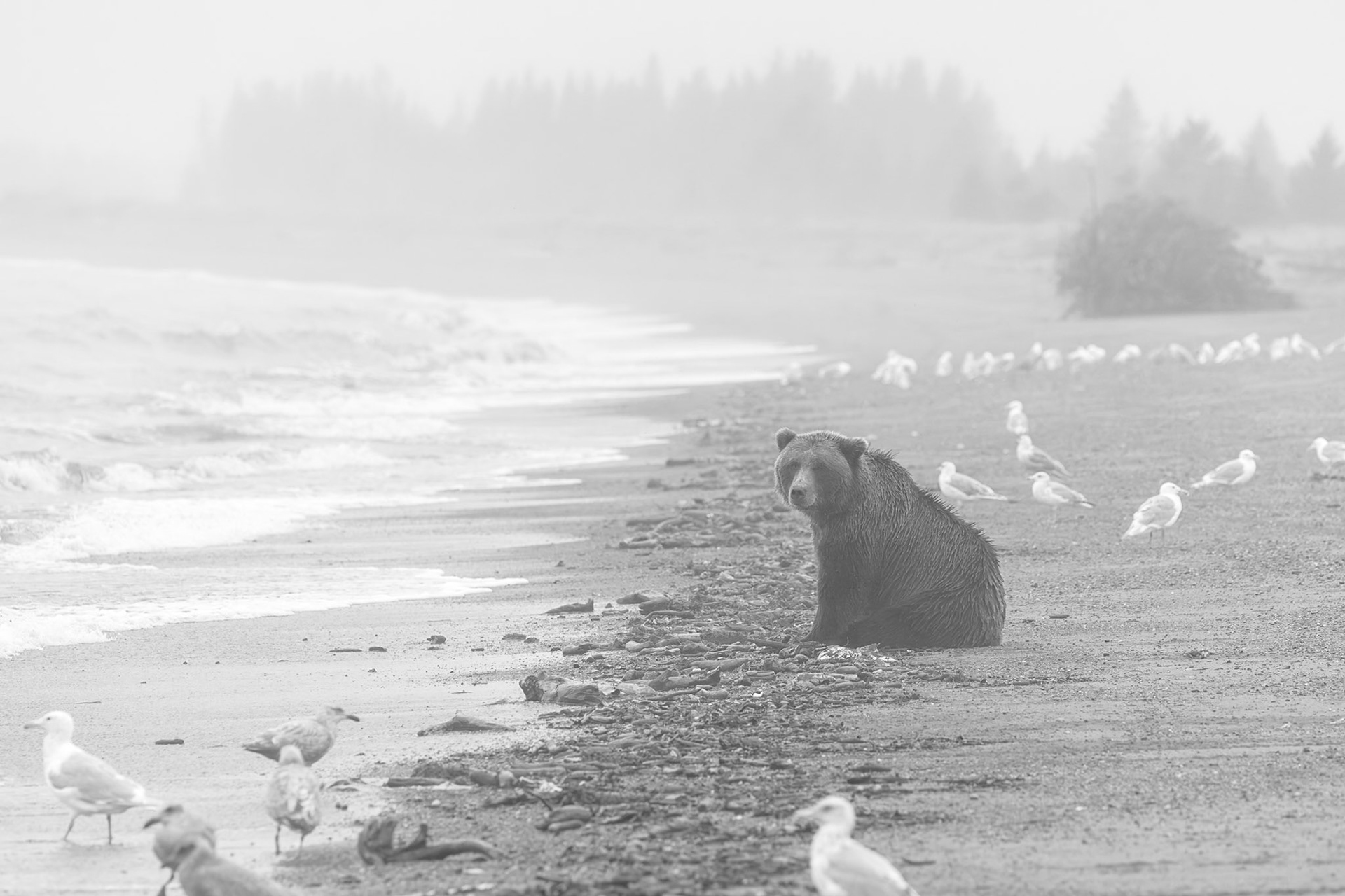 Lake Clark area, Alaska
