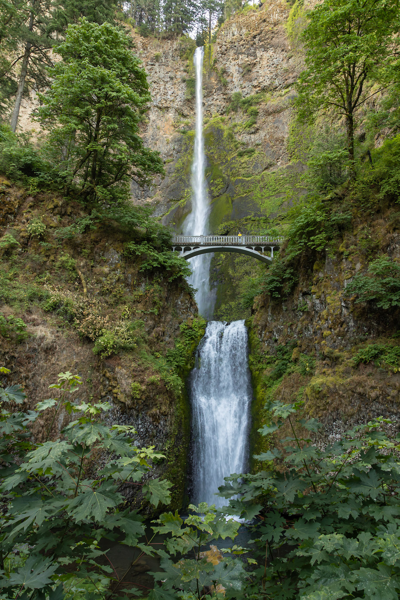 Multnomah Falls, Oregon