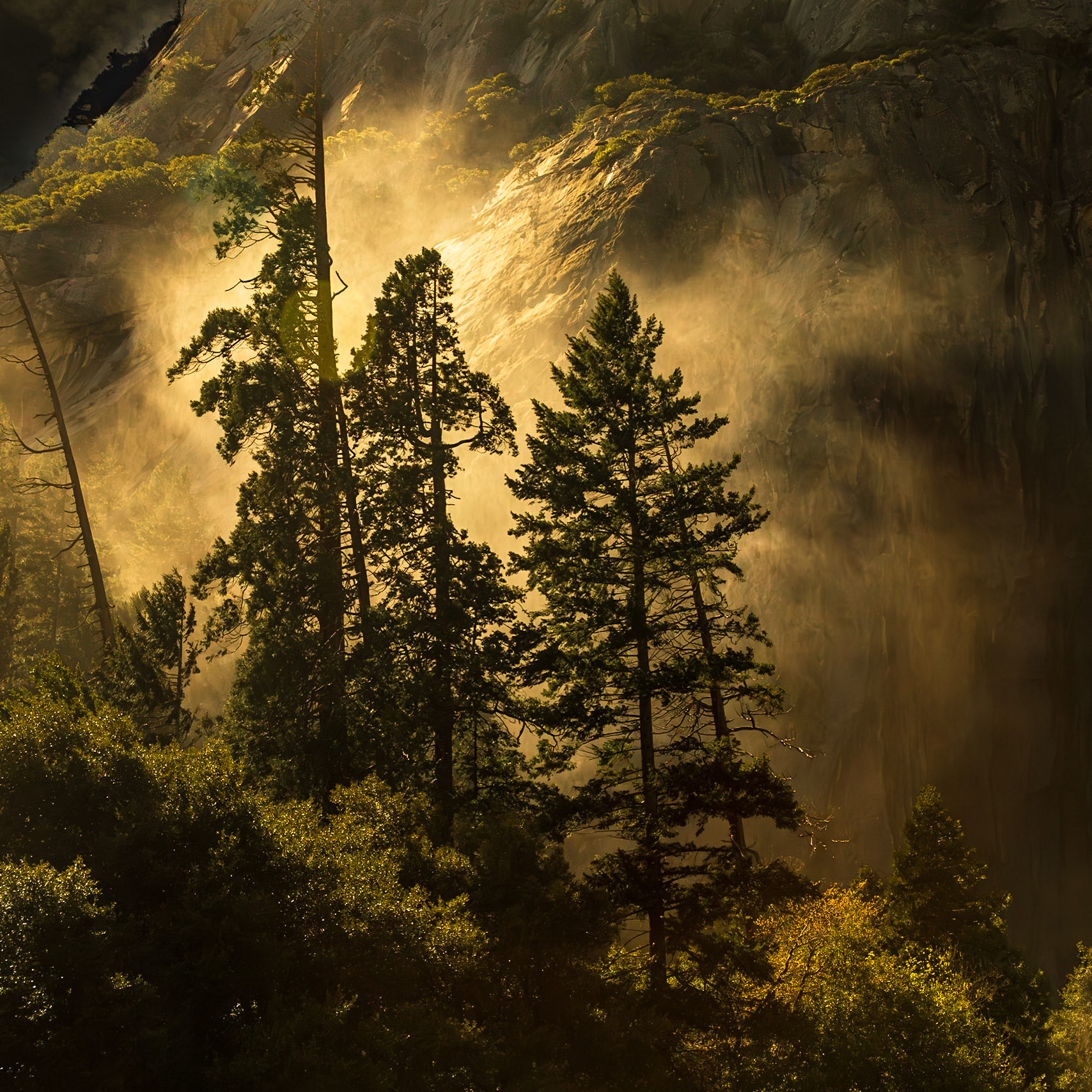 Yosemite National Park 