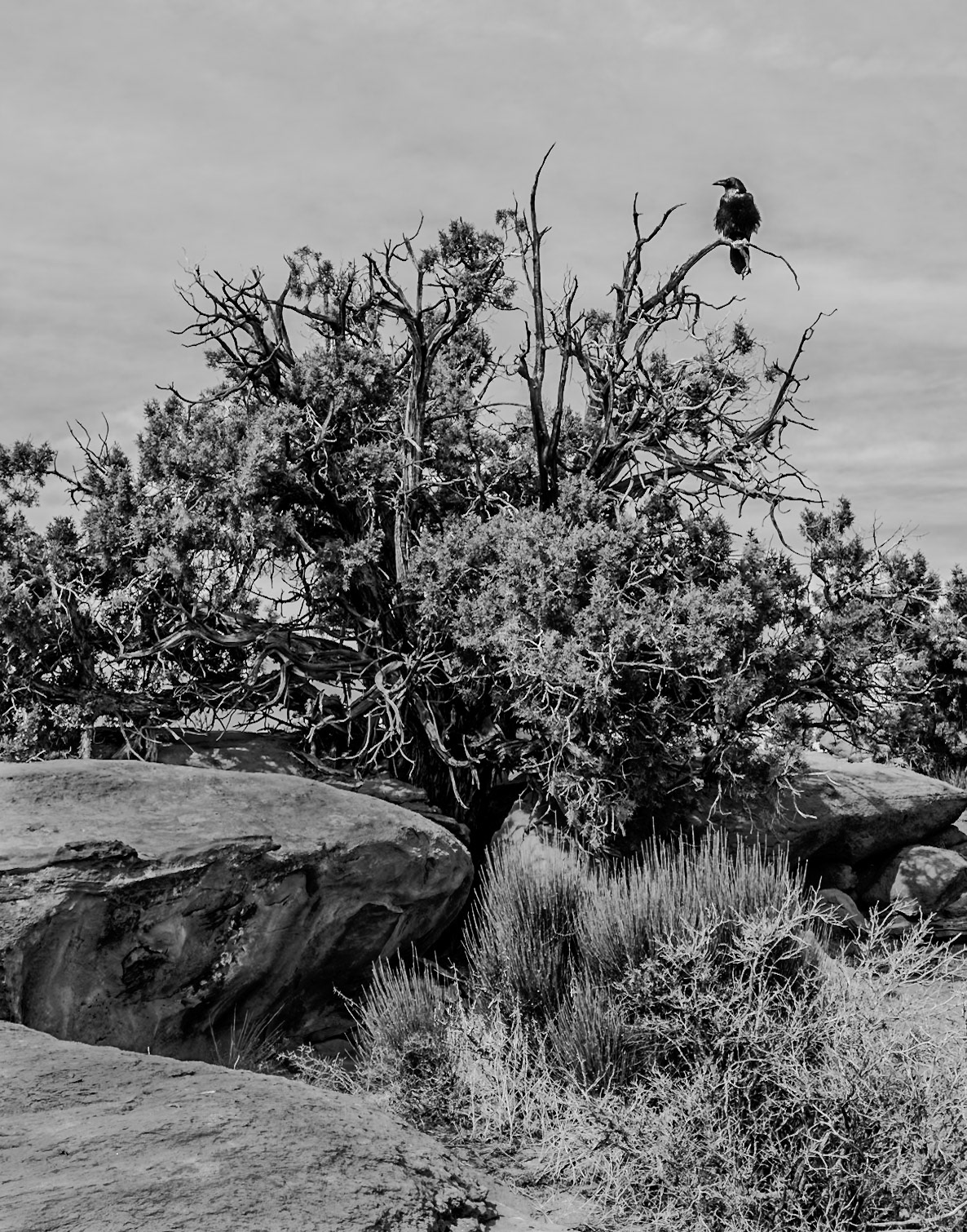 Canyonlands National Park