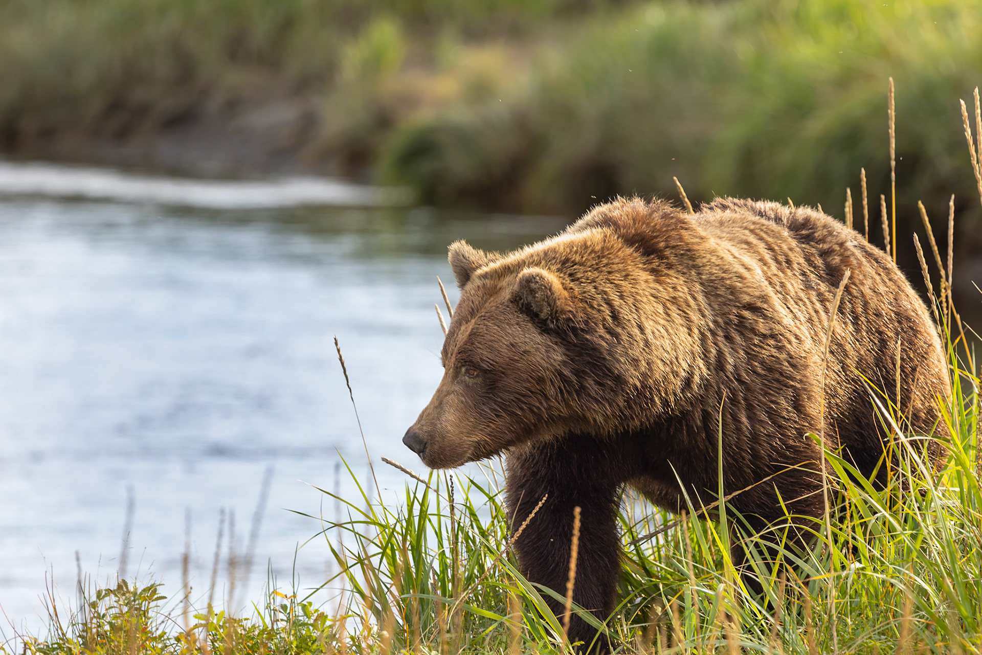 Lake Clark National Park