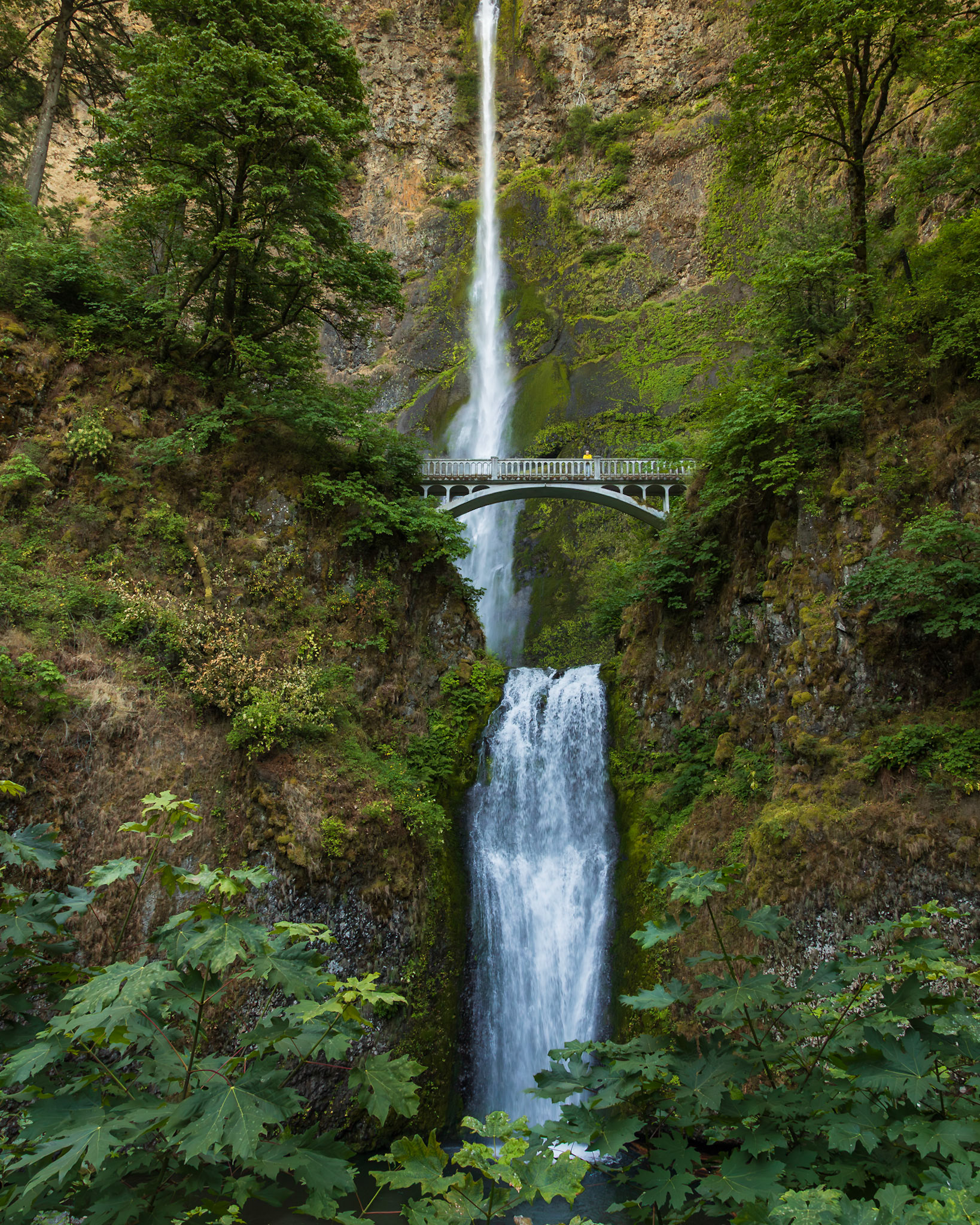 Multnomah Falls, Oregon
