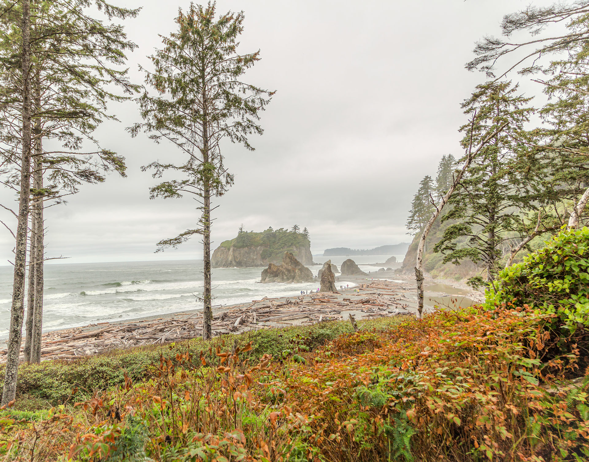 Olympic National Park 