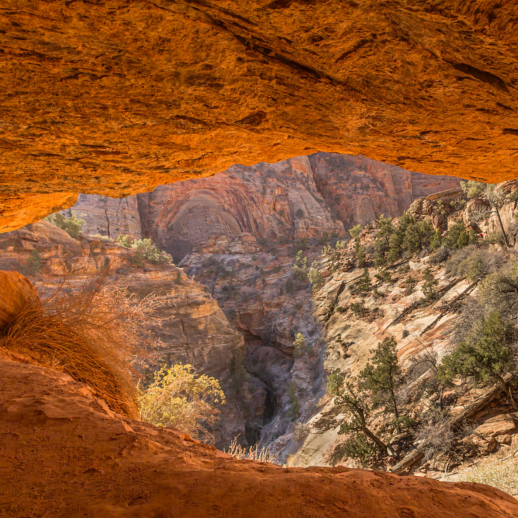 Natural Bridges National Monument