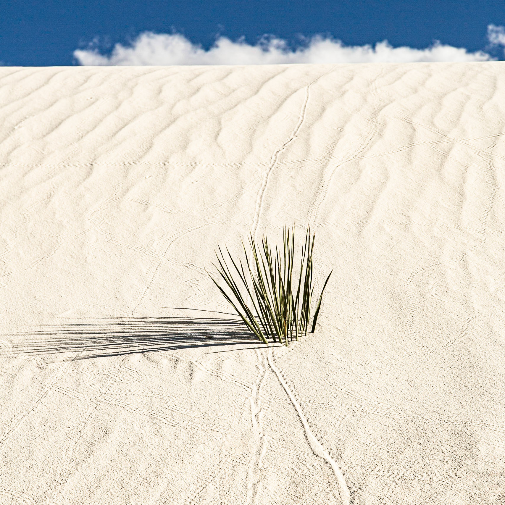 White Sands National Park