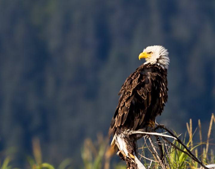 Lake Clark National Park 