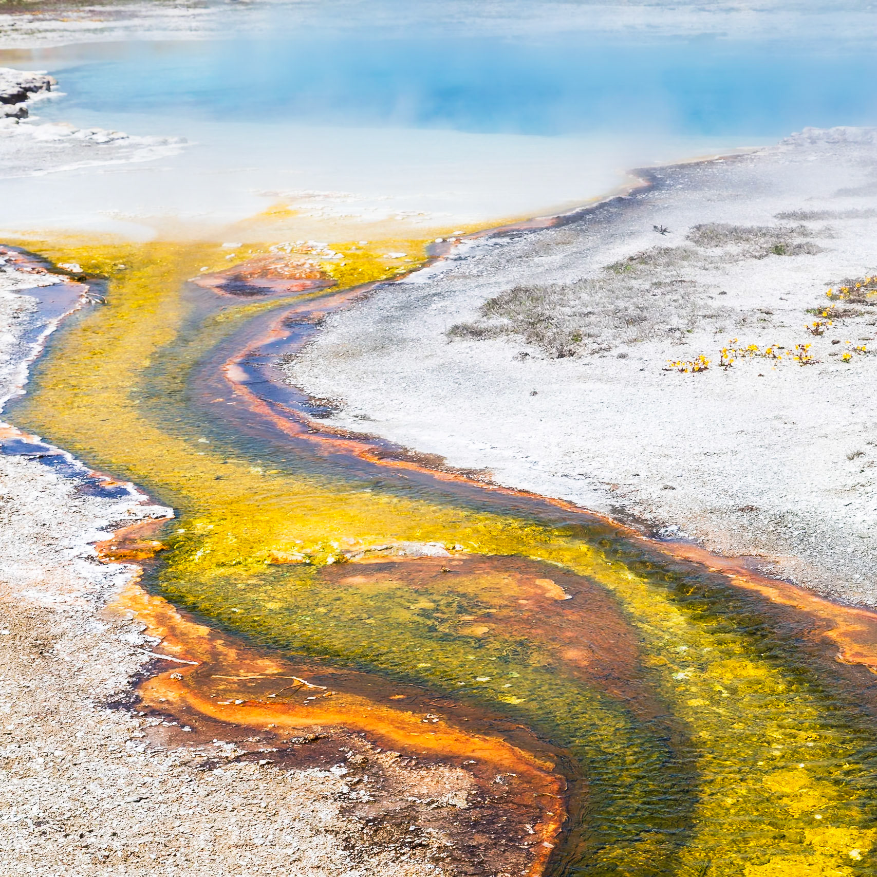 Yellowstone National Park