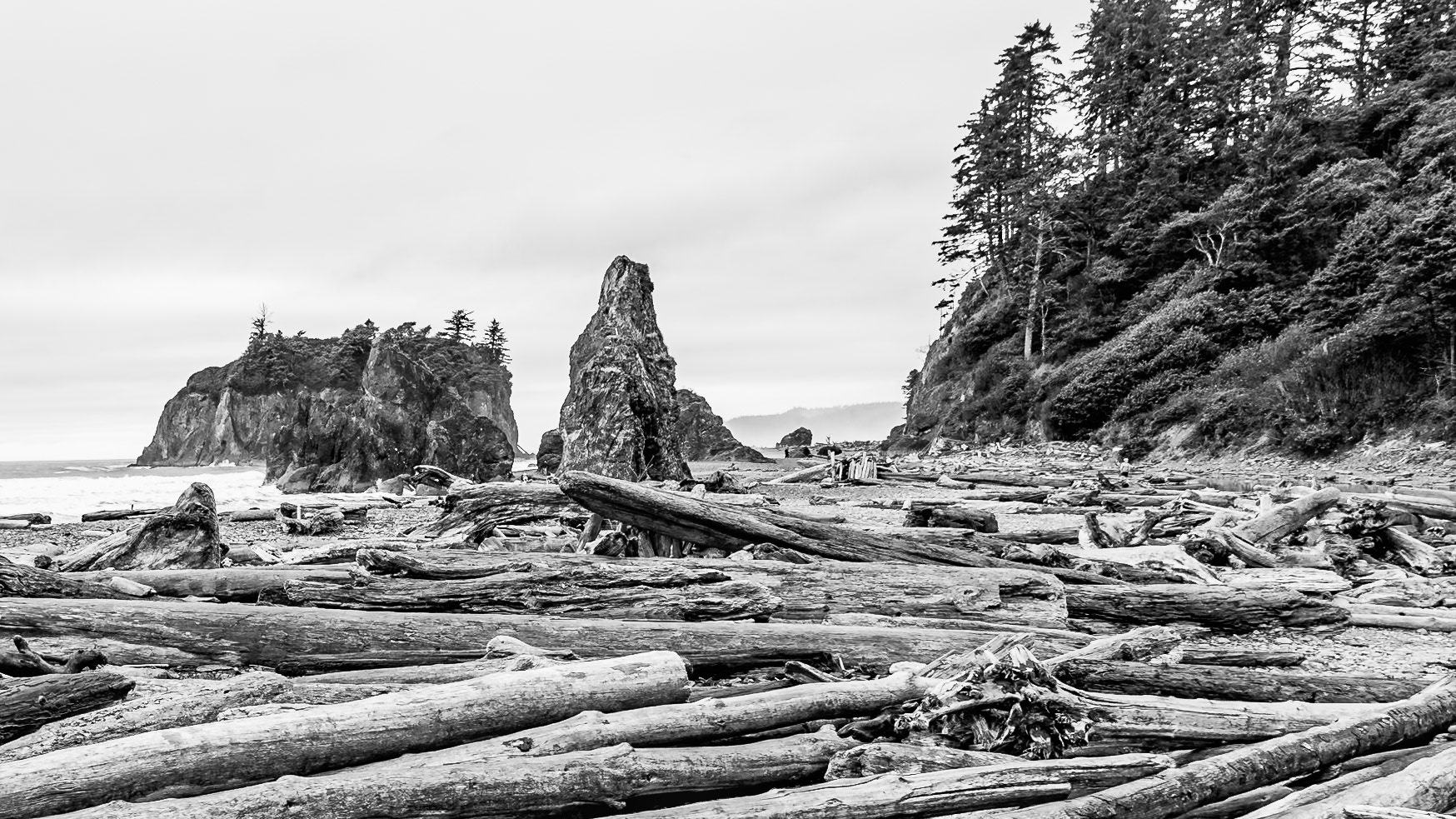 Olympic National Park