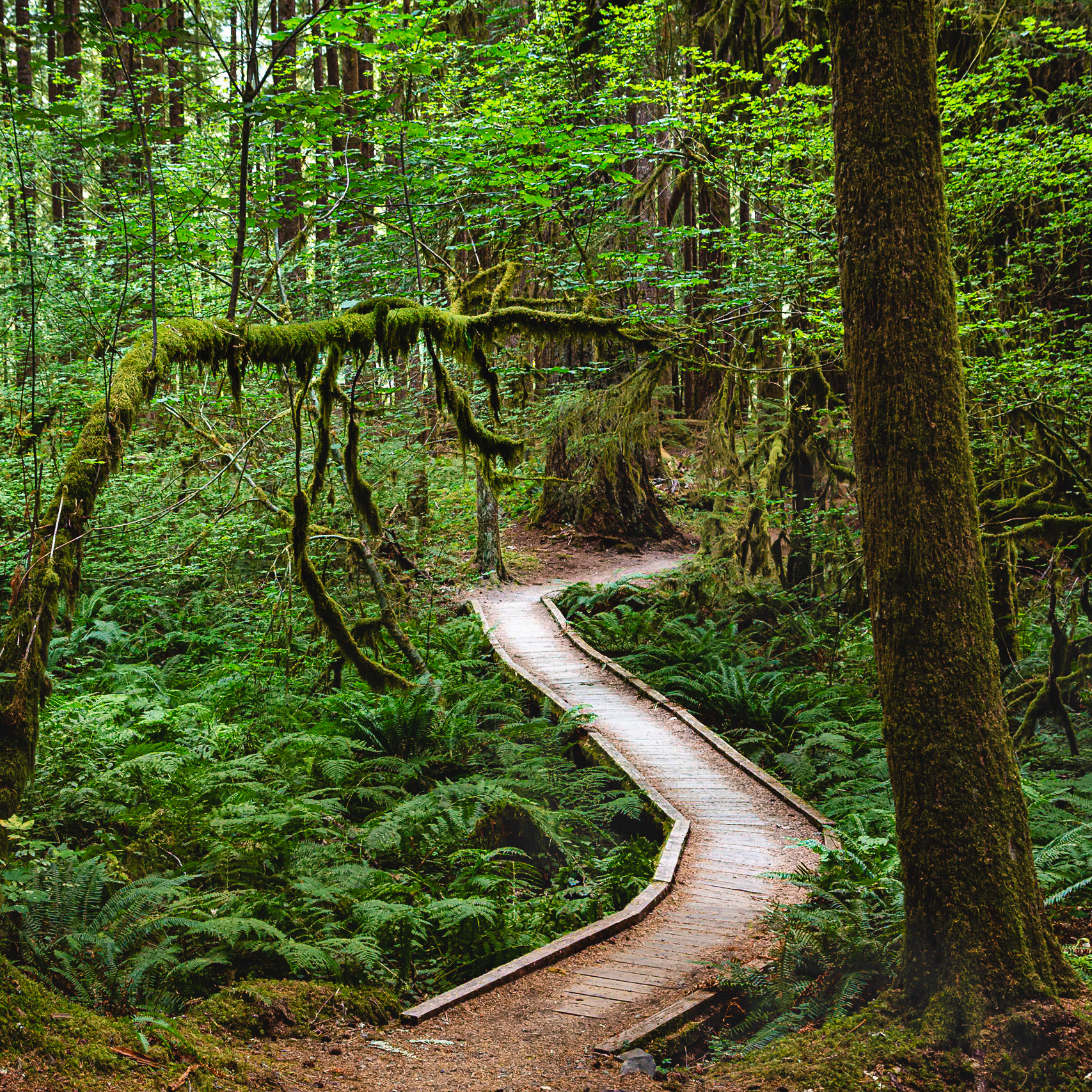 Olympic National Park 