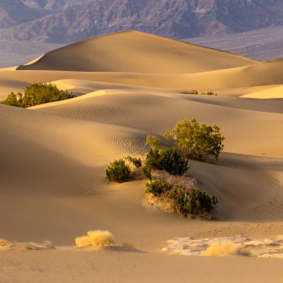 Death Valley National Park