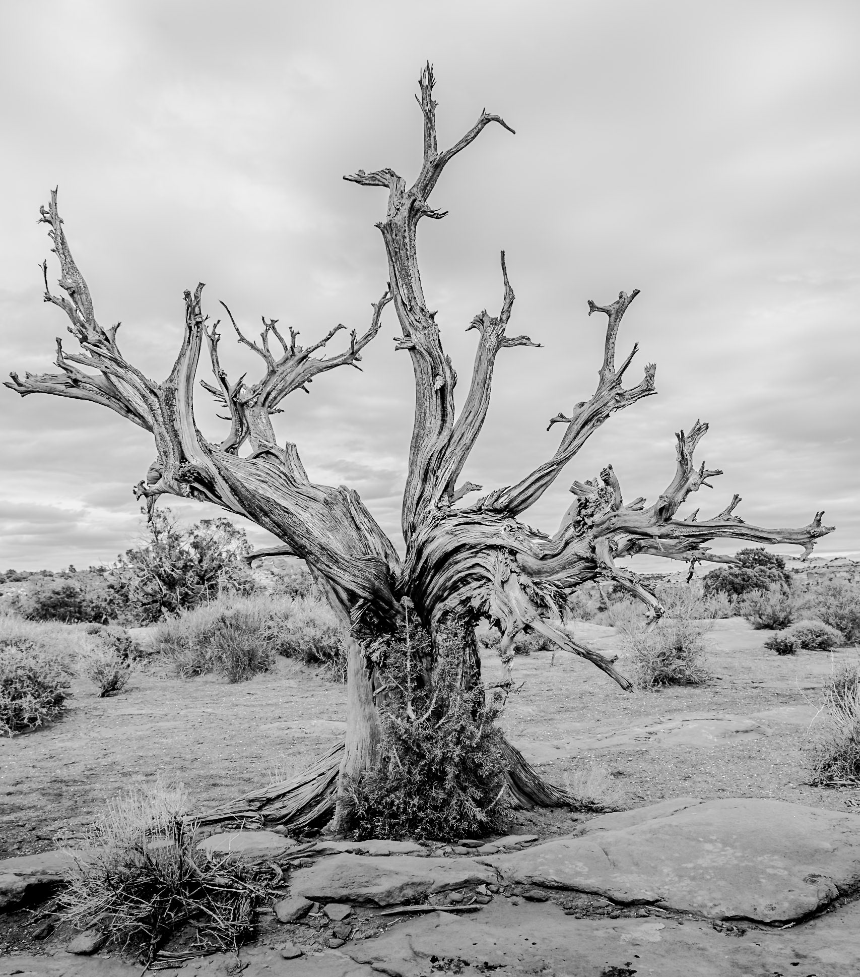 Canyonlands National Park 