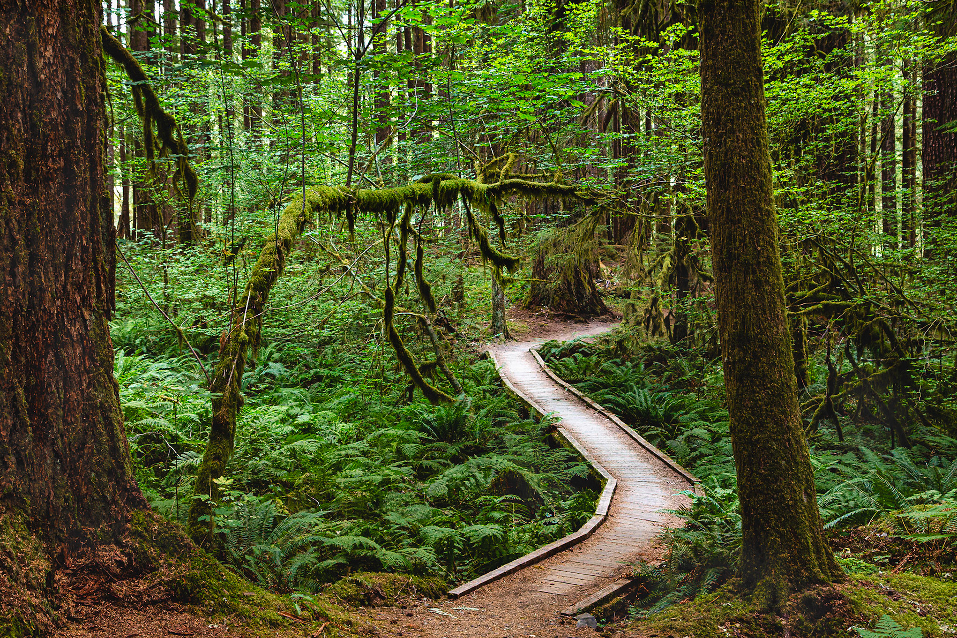 Olympic National Park