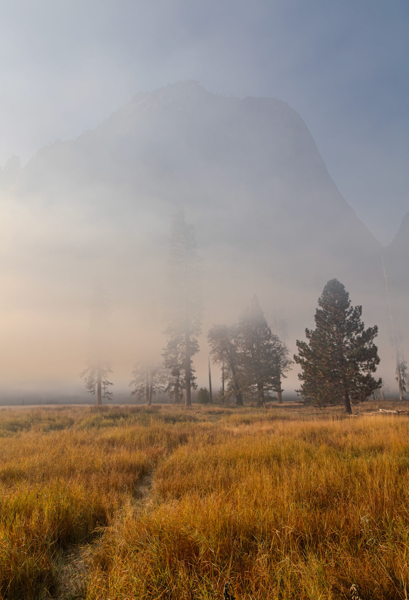 Yosemite National Park