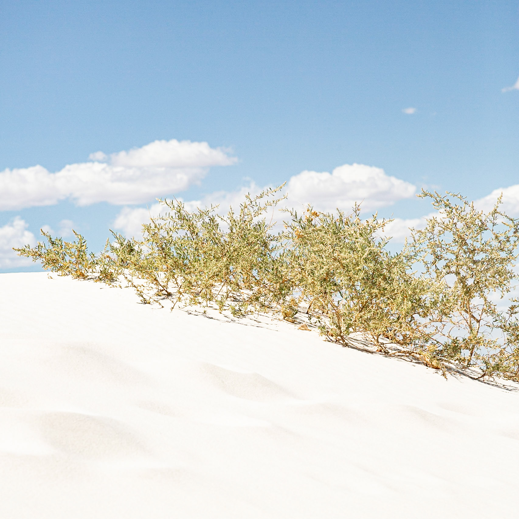 White Sands National Park