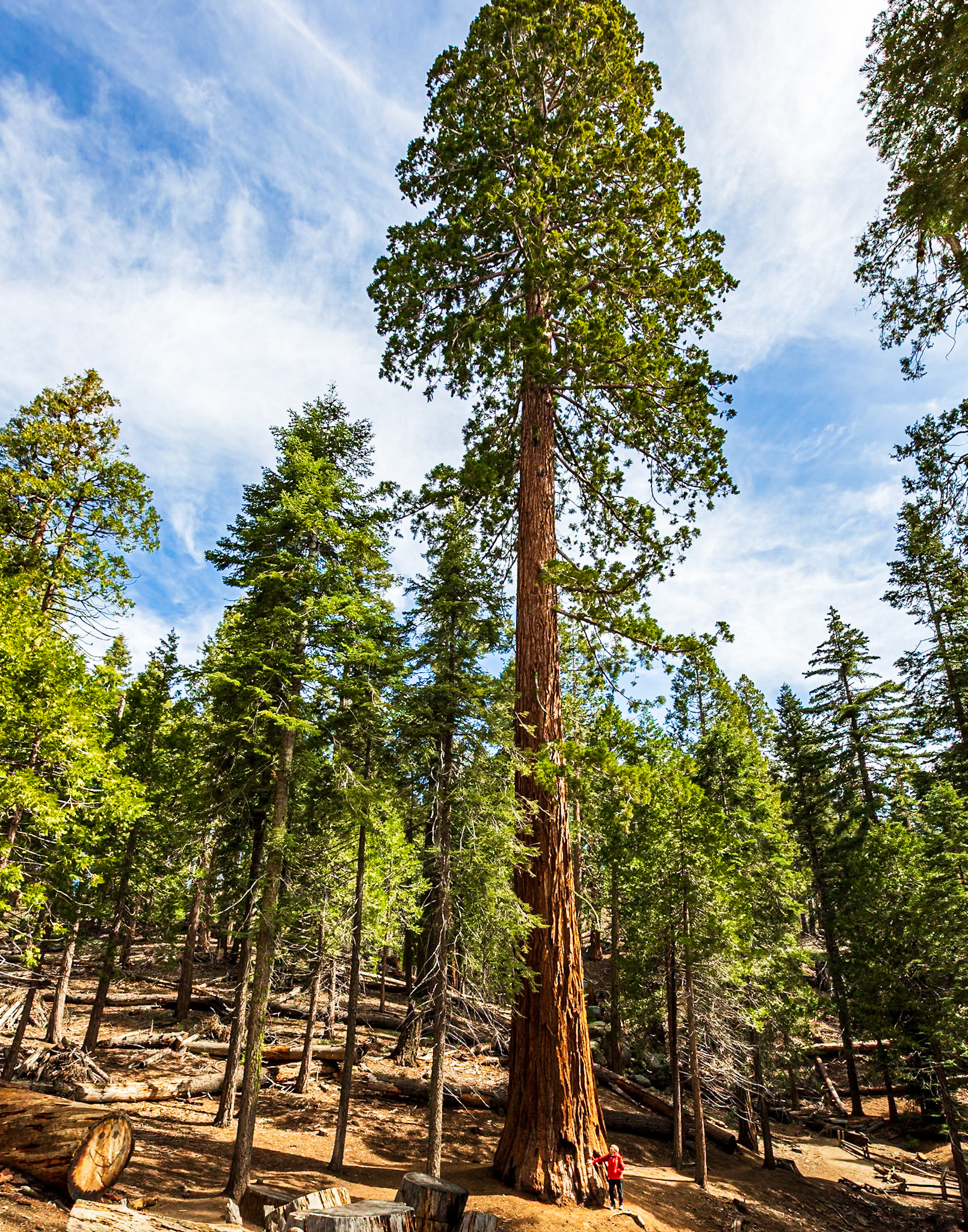 Sequoia National Park