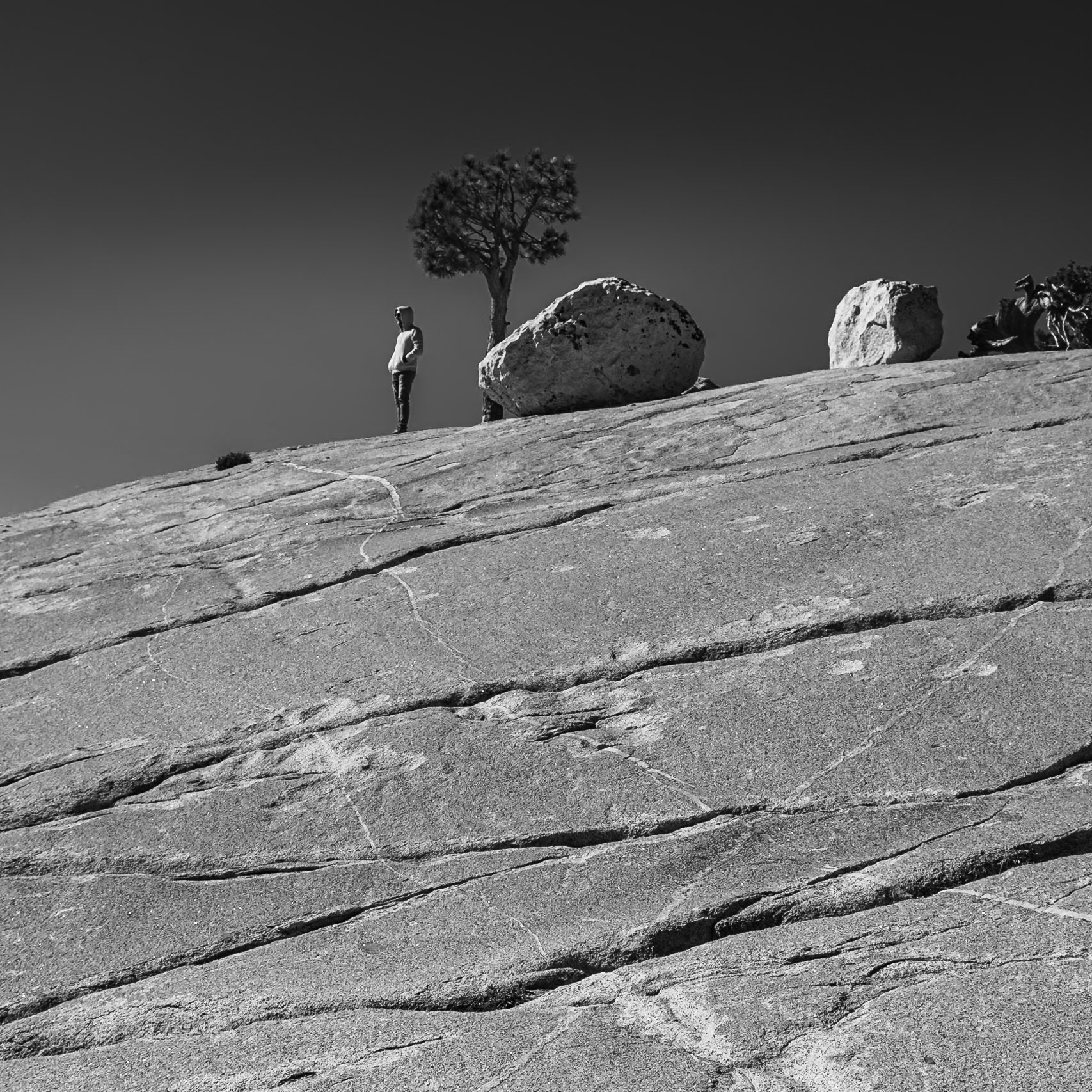 Yosemite National Park