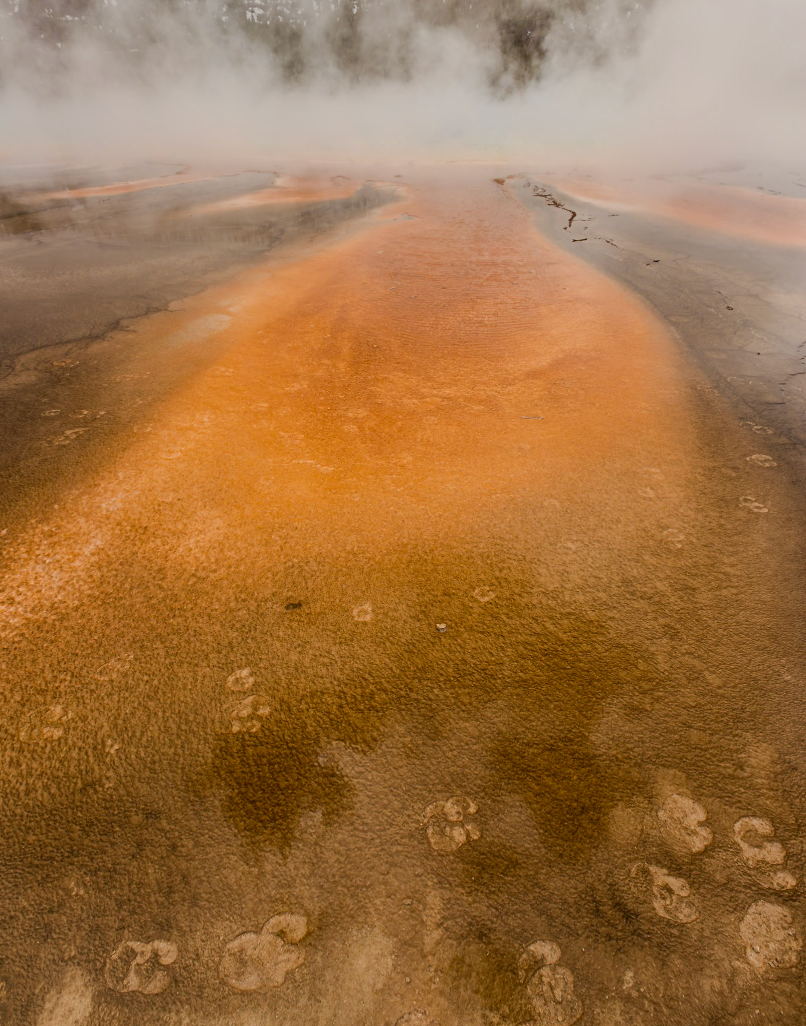 Yellowstone National Park