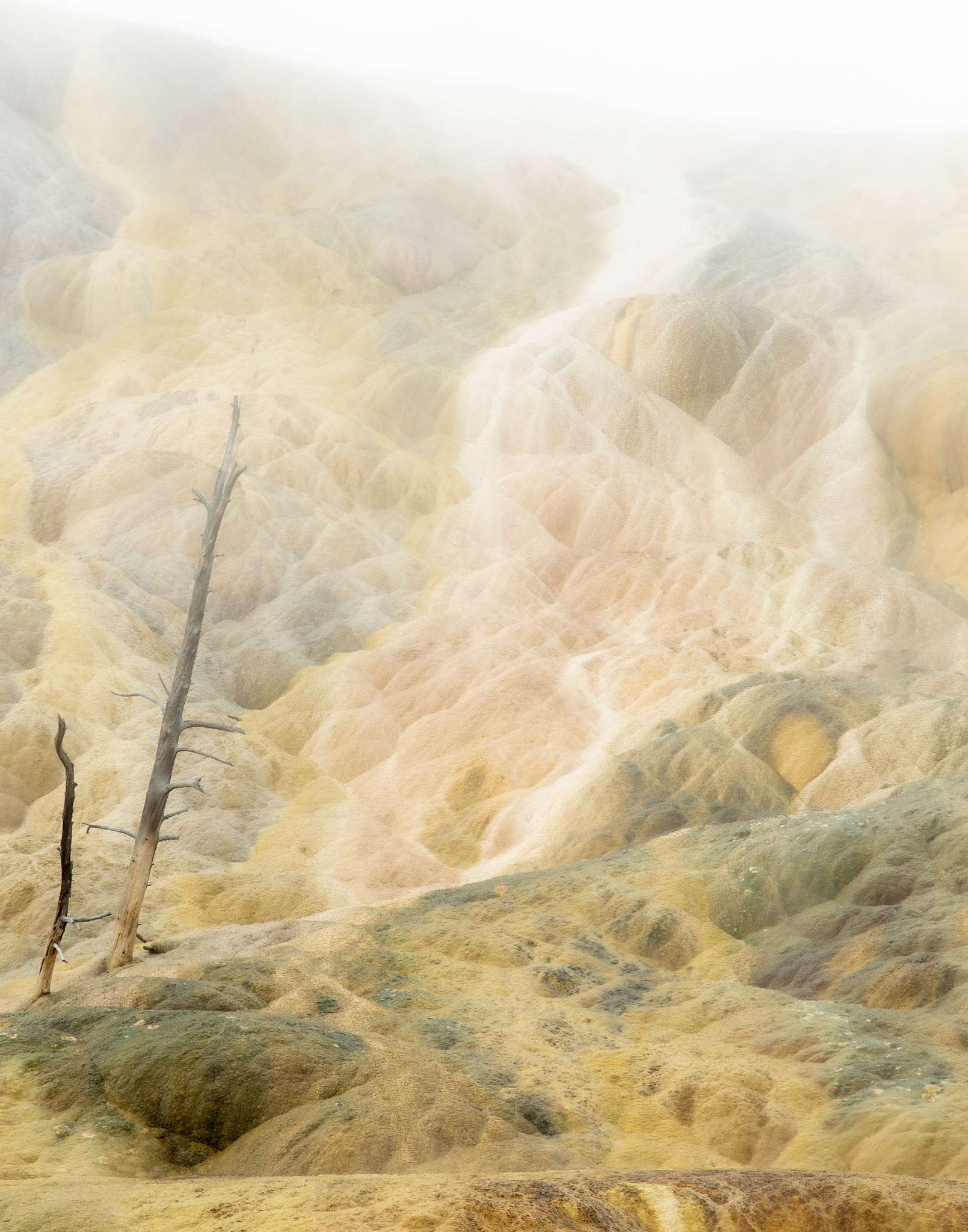 Yellowstone National Park