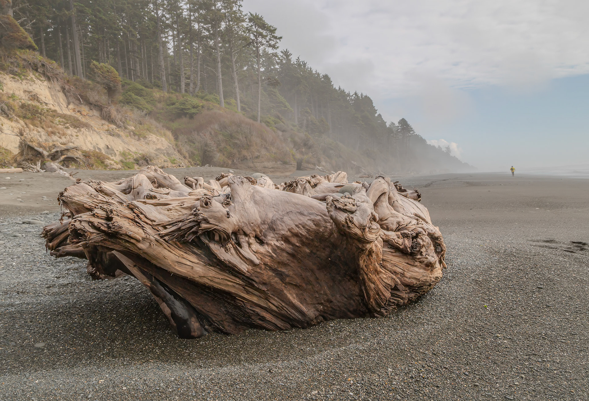Olympic National Park